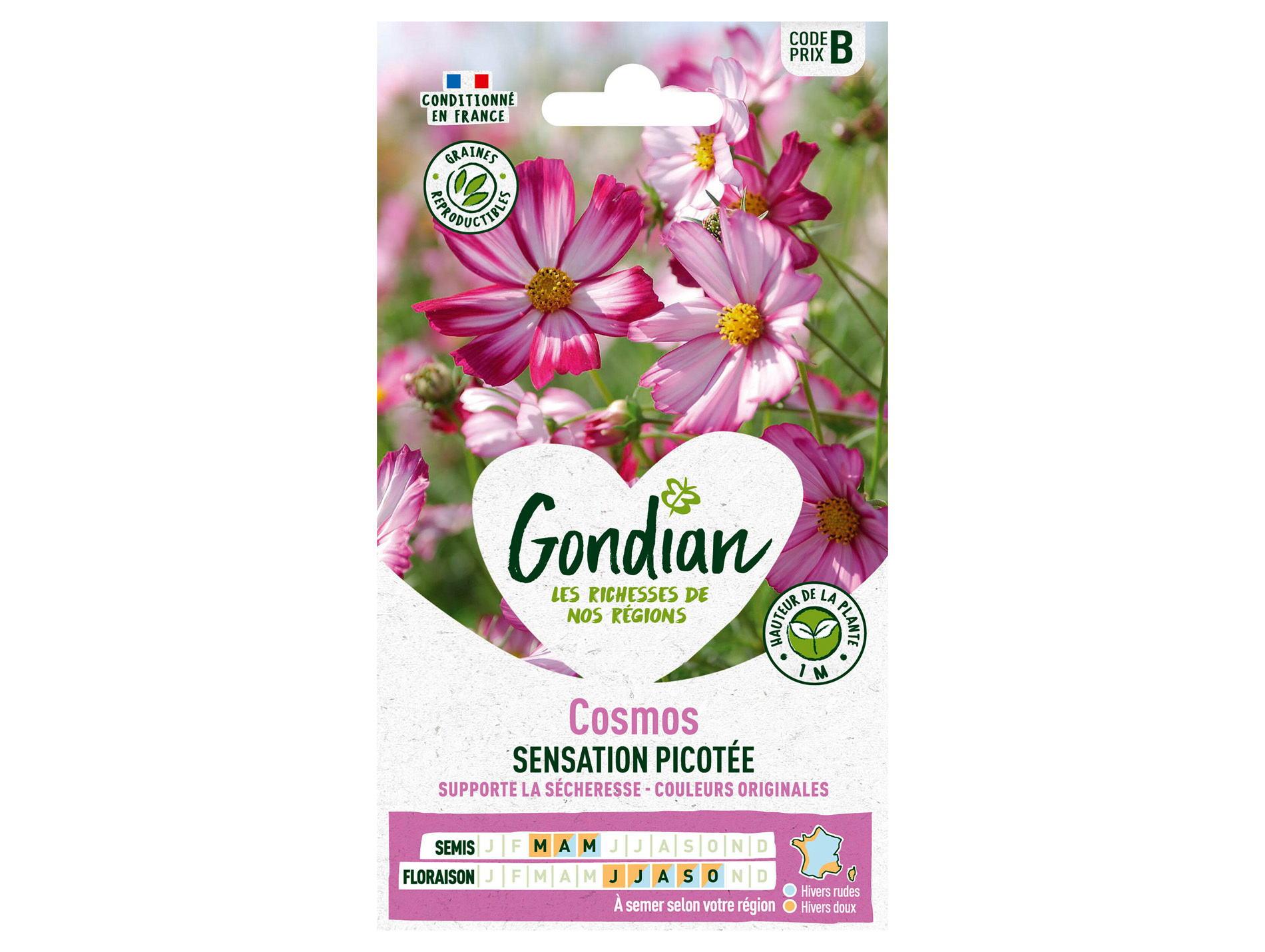 Cosmos Sensation Picotée GONDIAN Série B