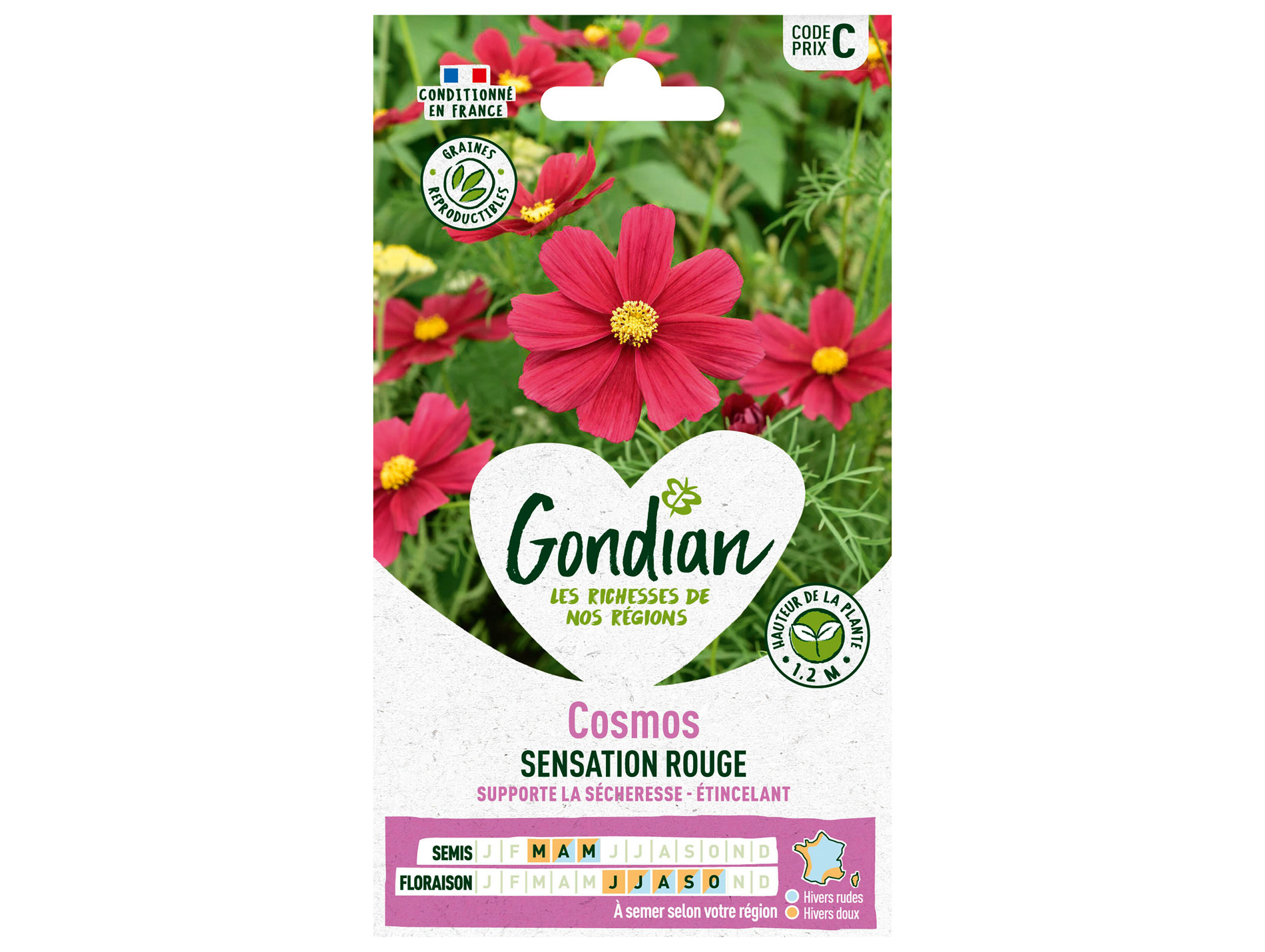 Cosmos Sensation Rouge GONDIAN Série C