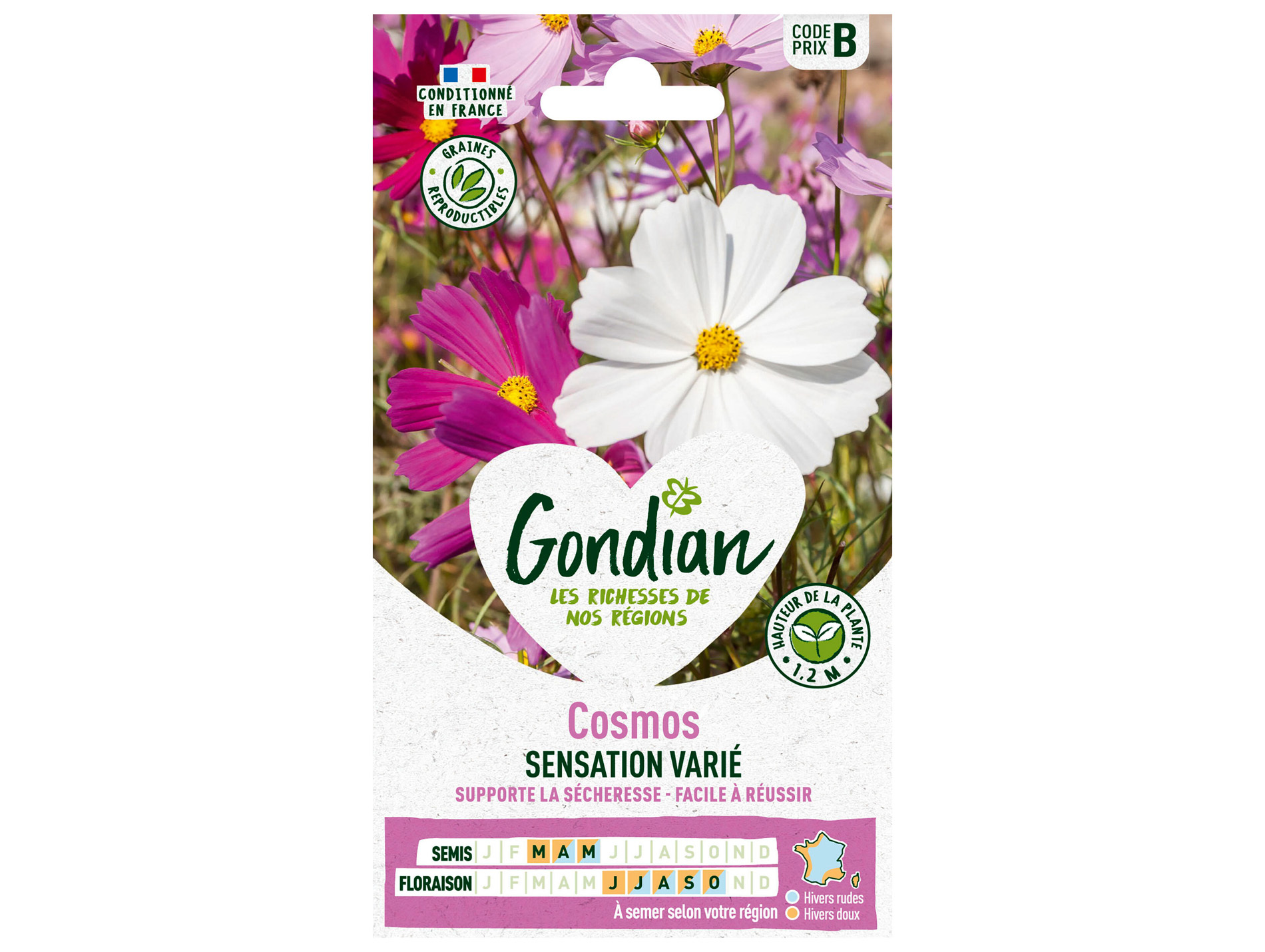 Cosmos Sensation varié GONDIAN Série B