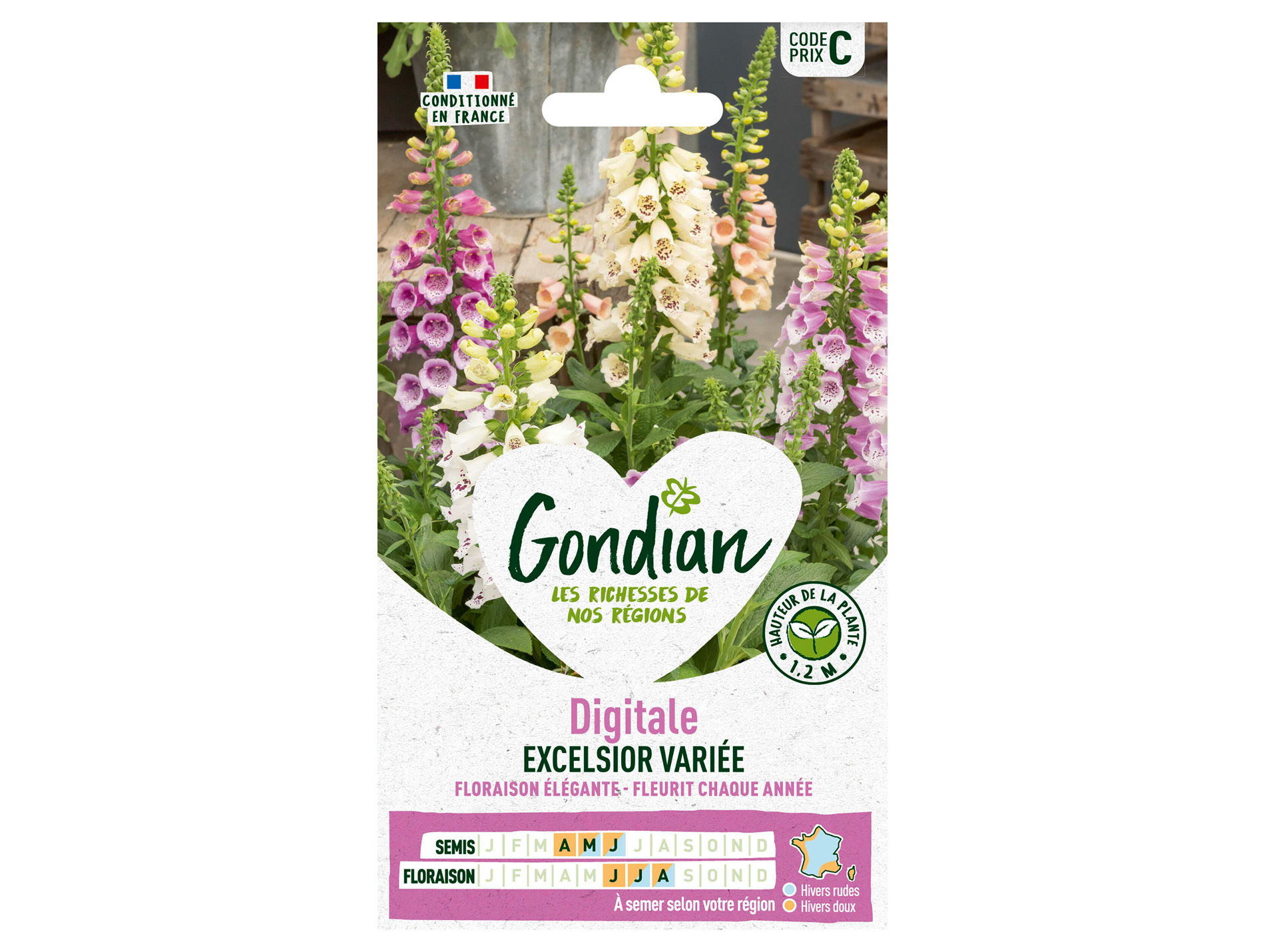 Digitale Excelsior variée GONDIAN Série C