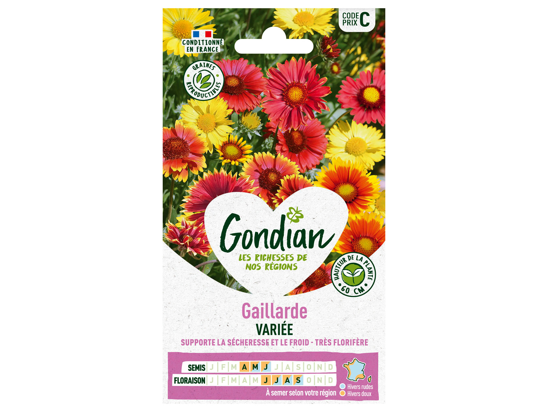 Gaillarde variée GONDIAN Série C