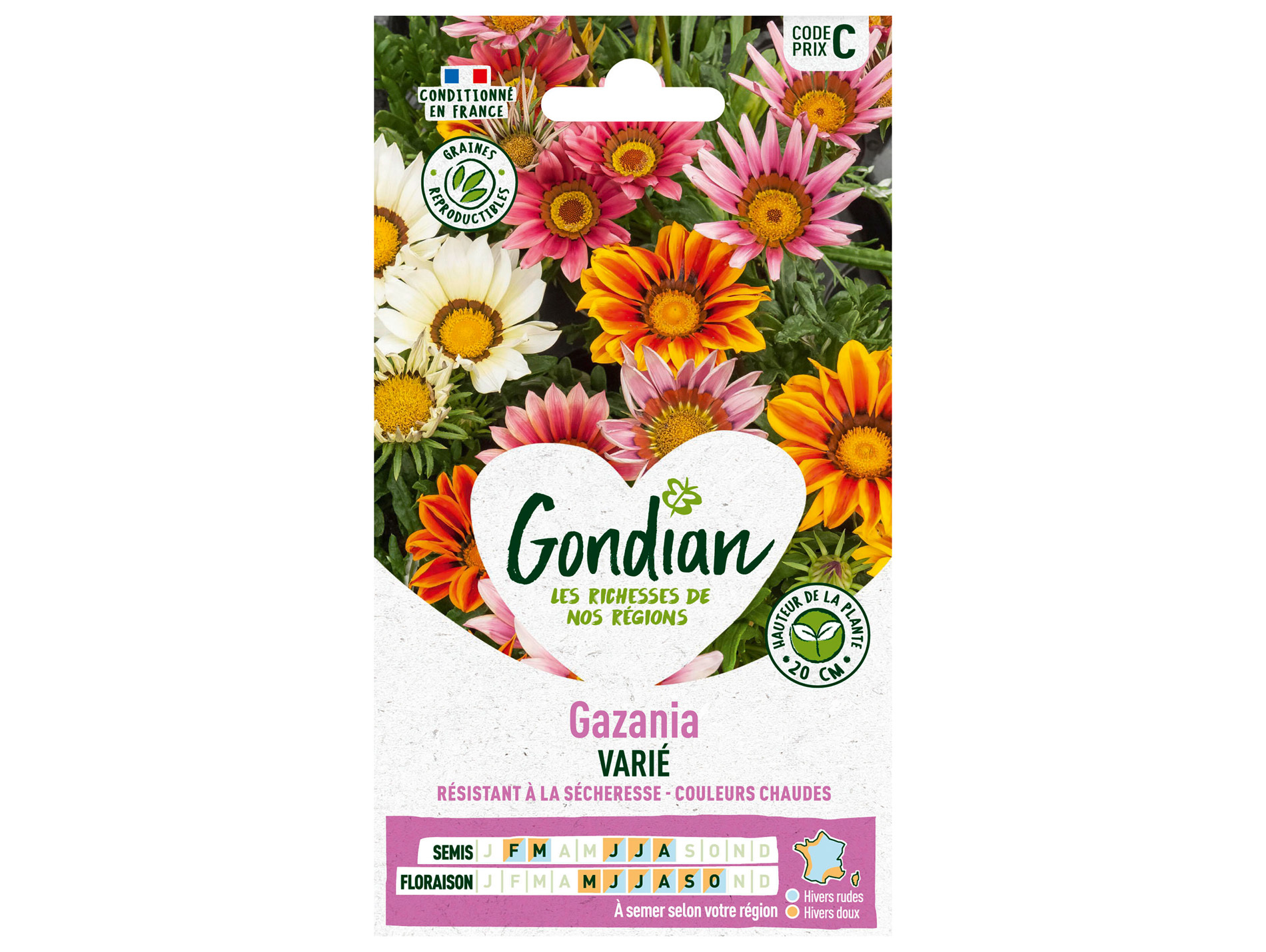 Gazania varié GONDIAN Série C