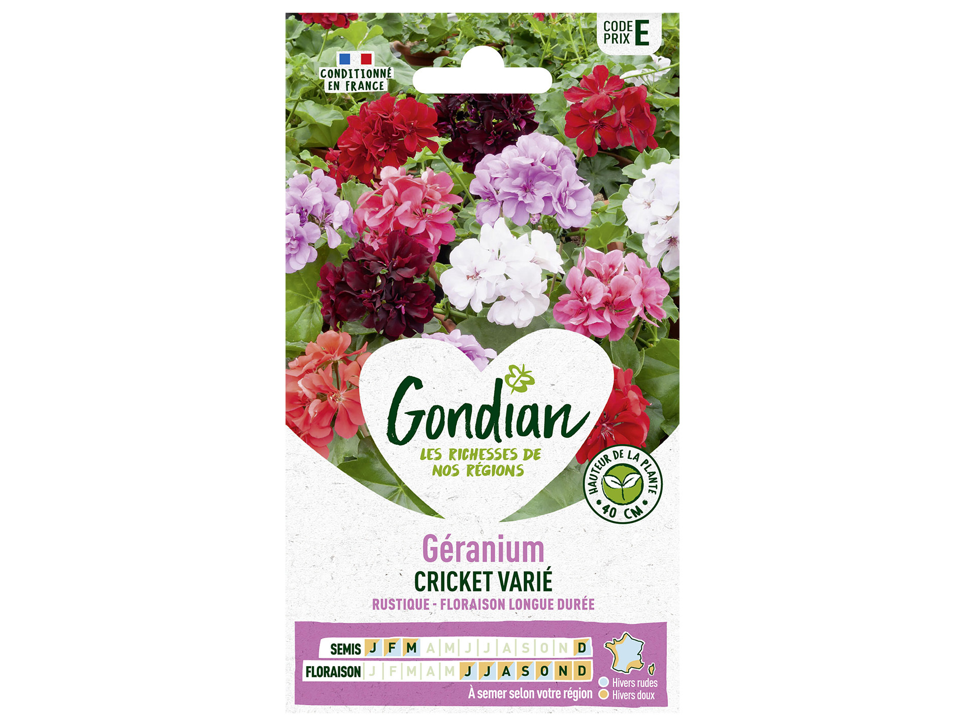 Geranium varié GONDIAN Série E