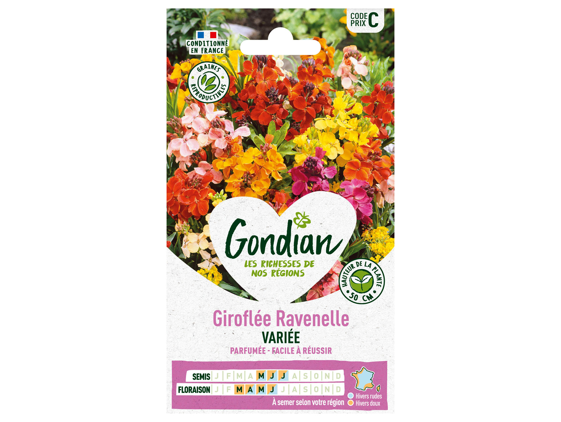 Giroflée Ravenelle variée GONDIAN Série C