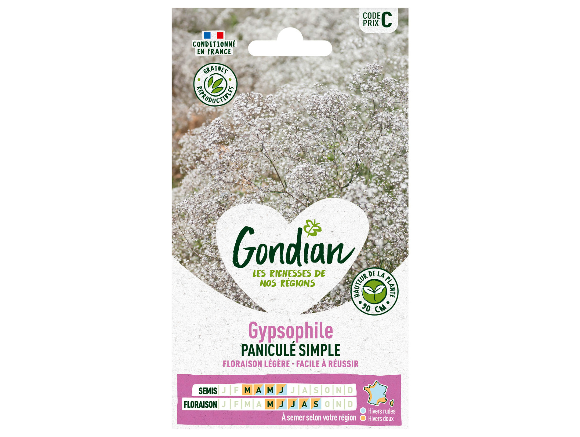 Gypsophile Paniculé simple GONDIAN Série C