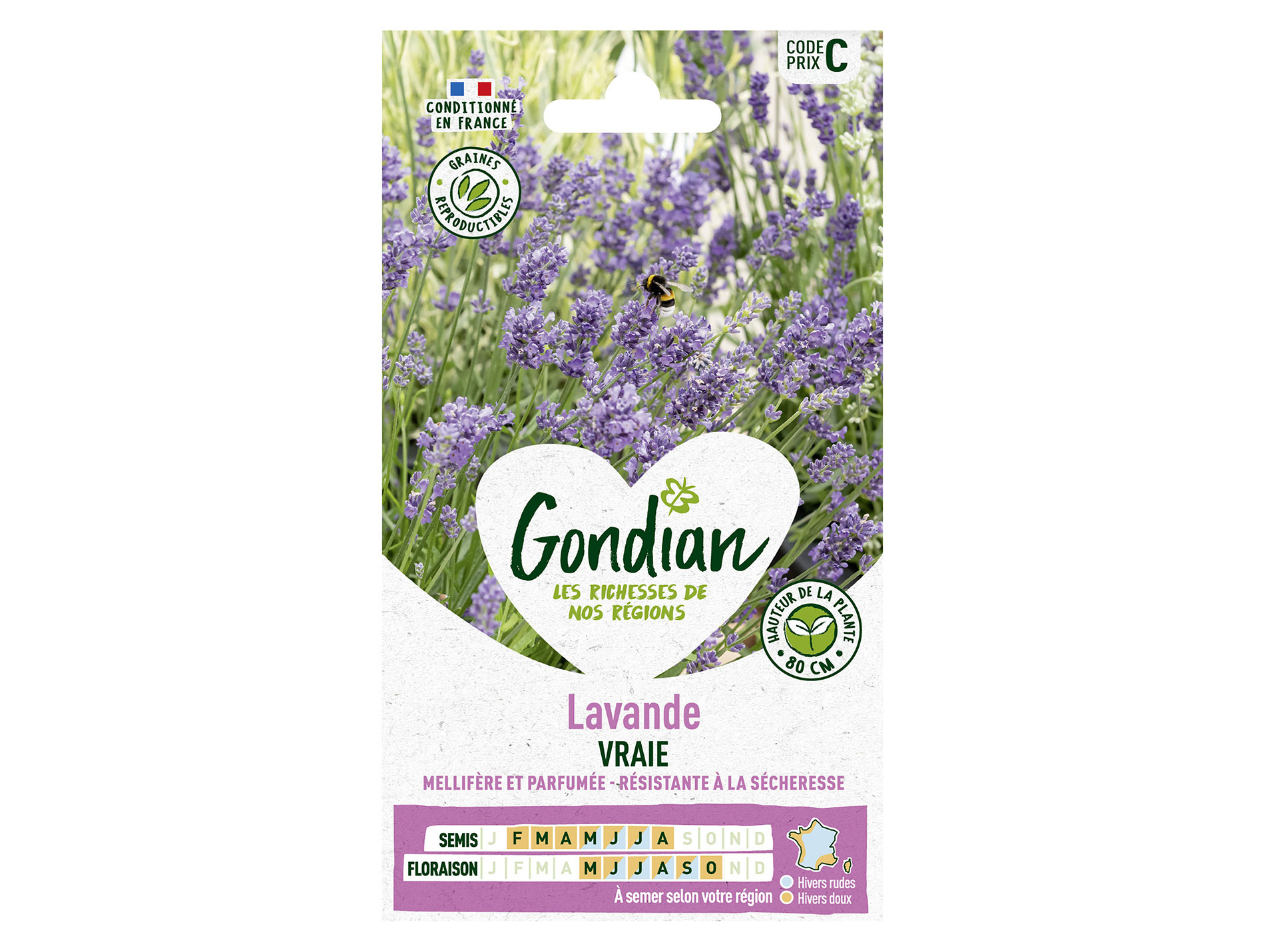 Lavande vraie GONDIAN Série C