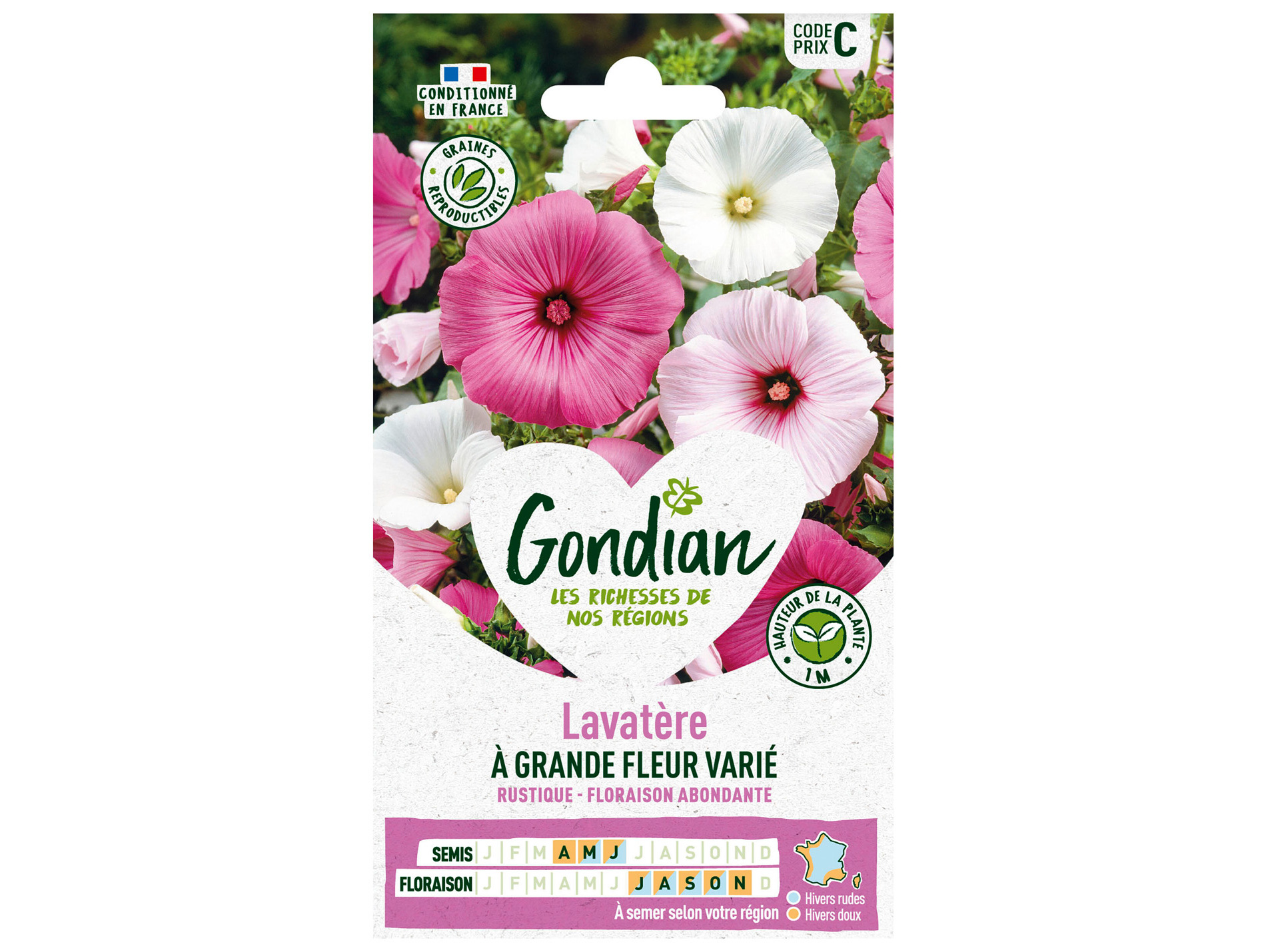 Lavatère à grande fleur varié GONDIAN Série C