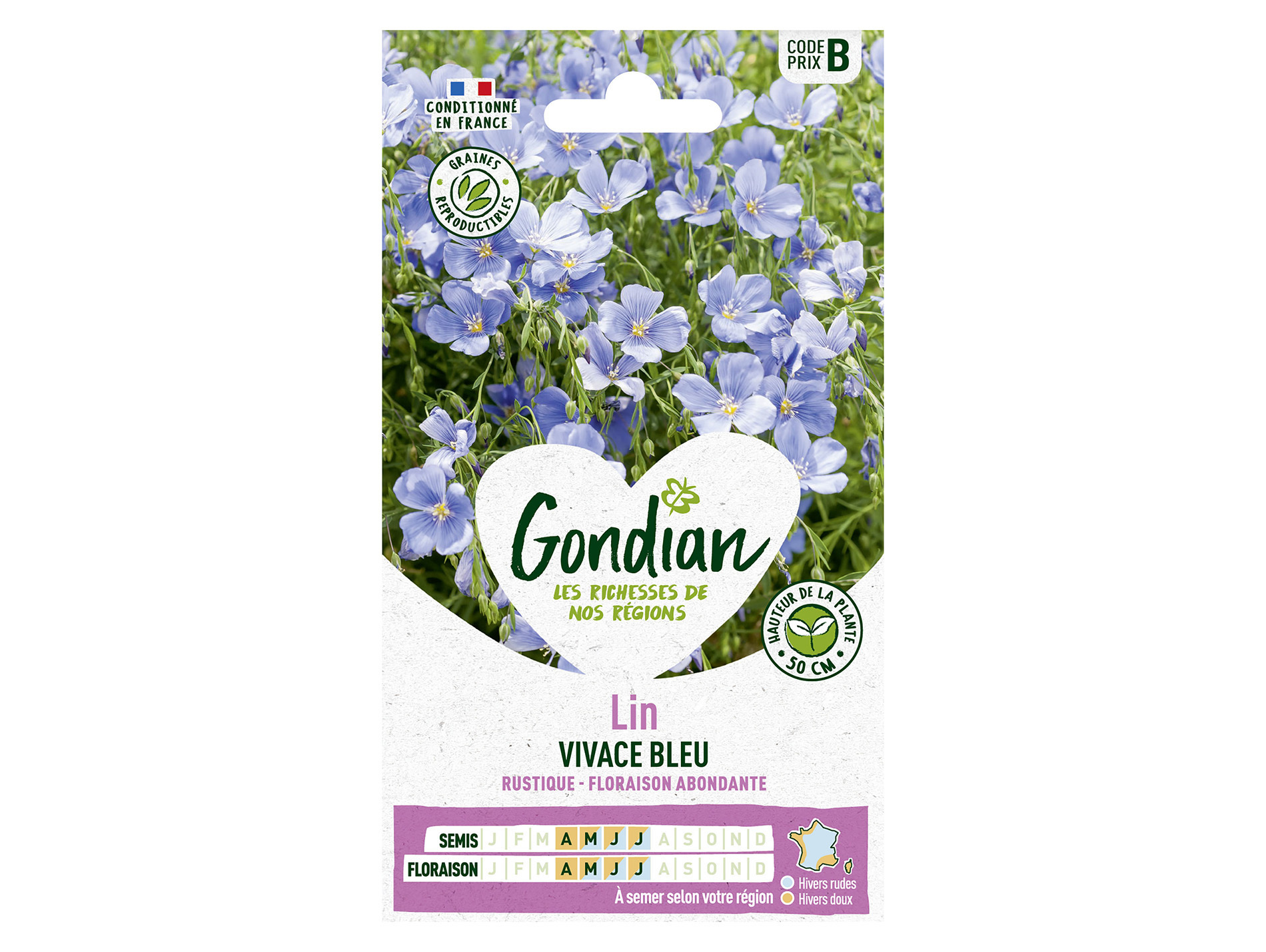 Lin Vivace Bleu GONDIAN Série B