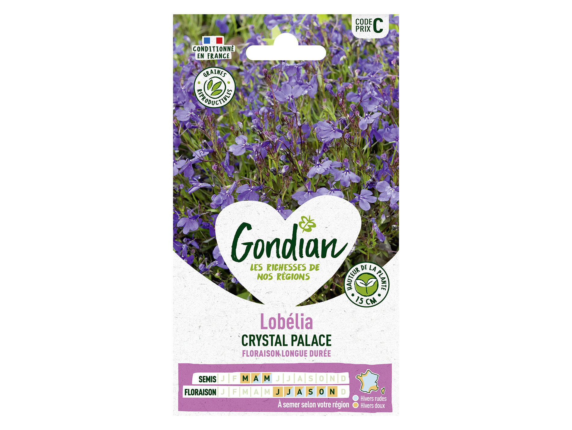 Lobélia Crystal Palace GONDIAN Série C