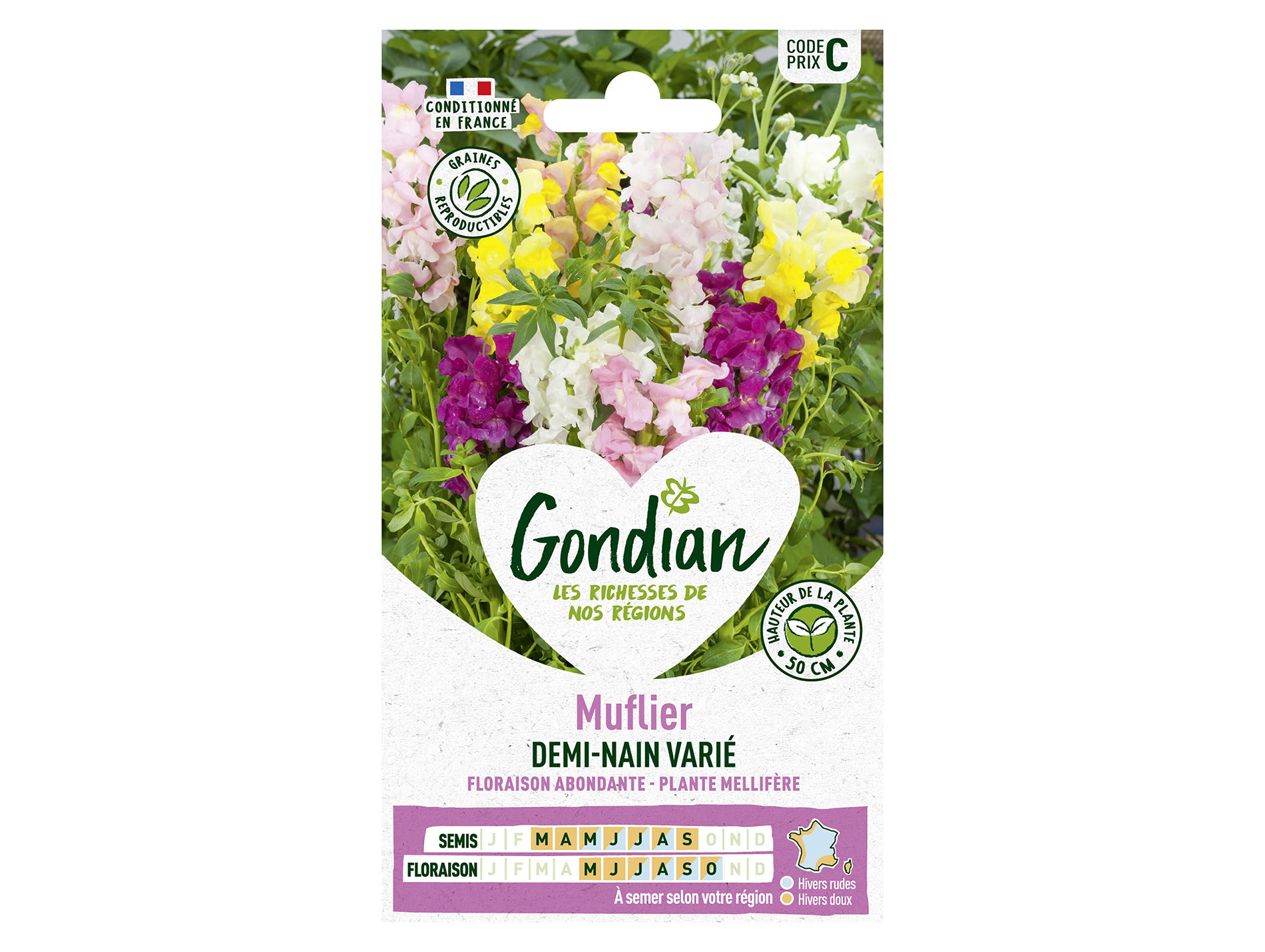 Muflier demi-nain varié GONDIAN Série C