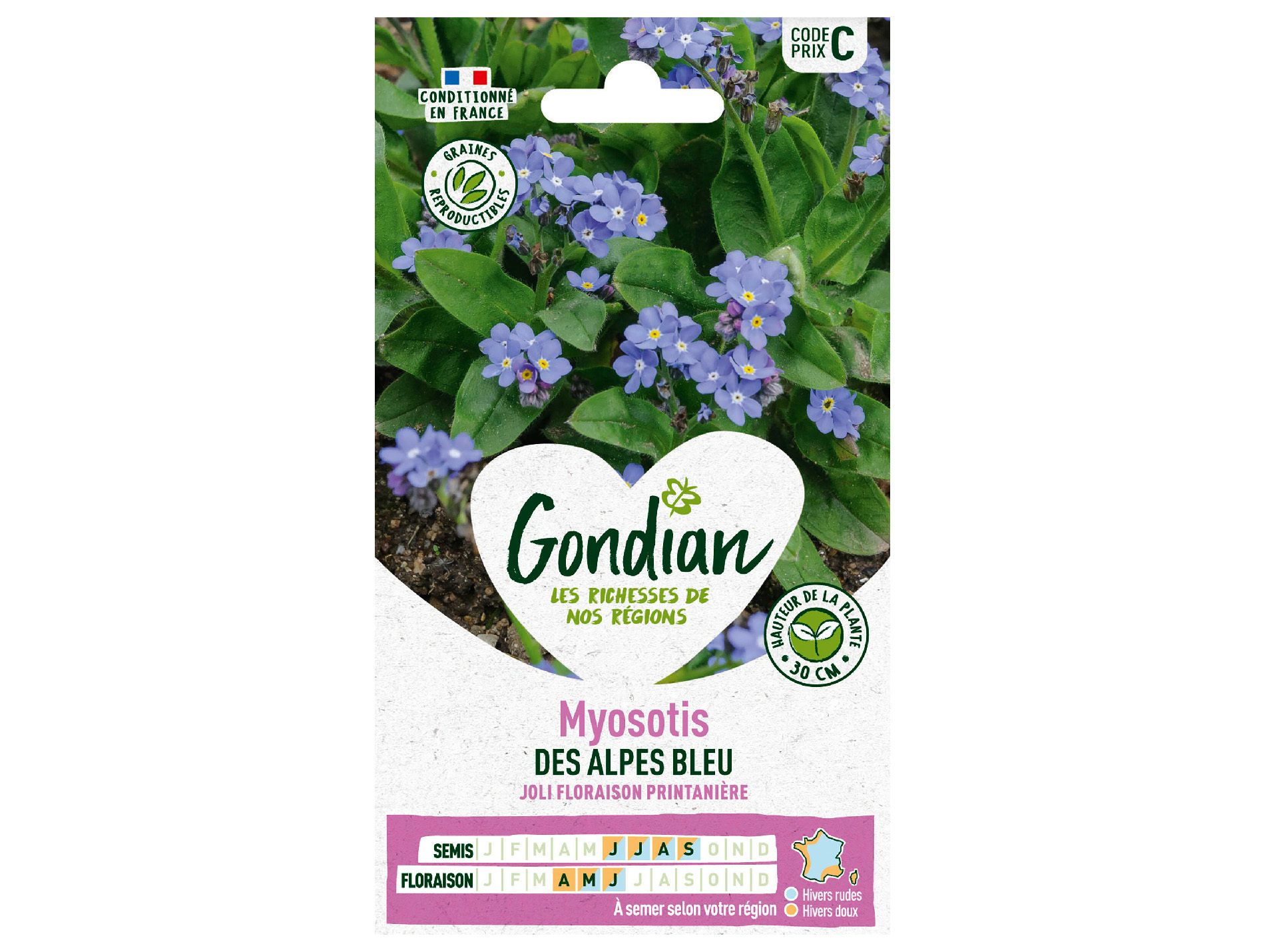Myosotis des Alpes Bleu GONDIAN Série C