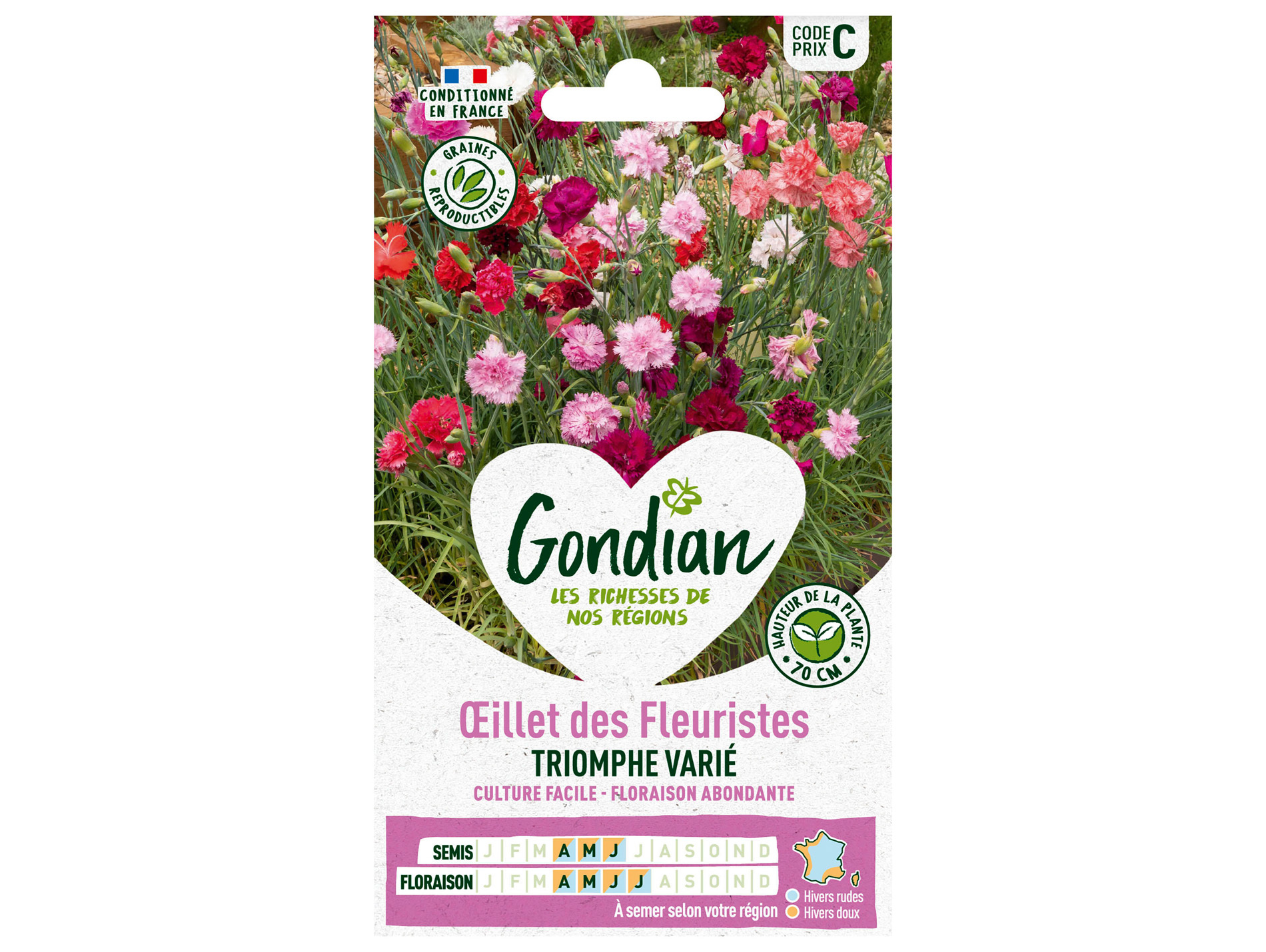 Oeillet des Fleuristes Triomphe varié GONDIAN Série C