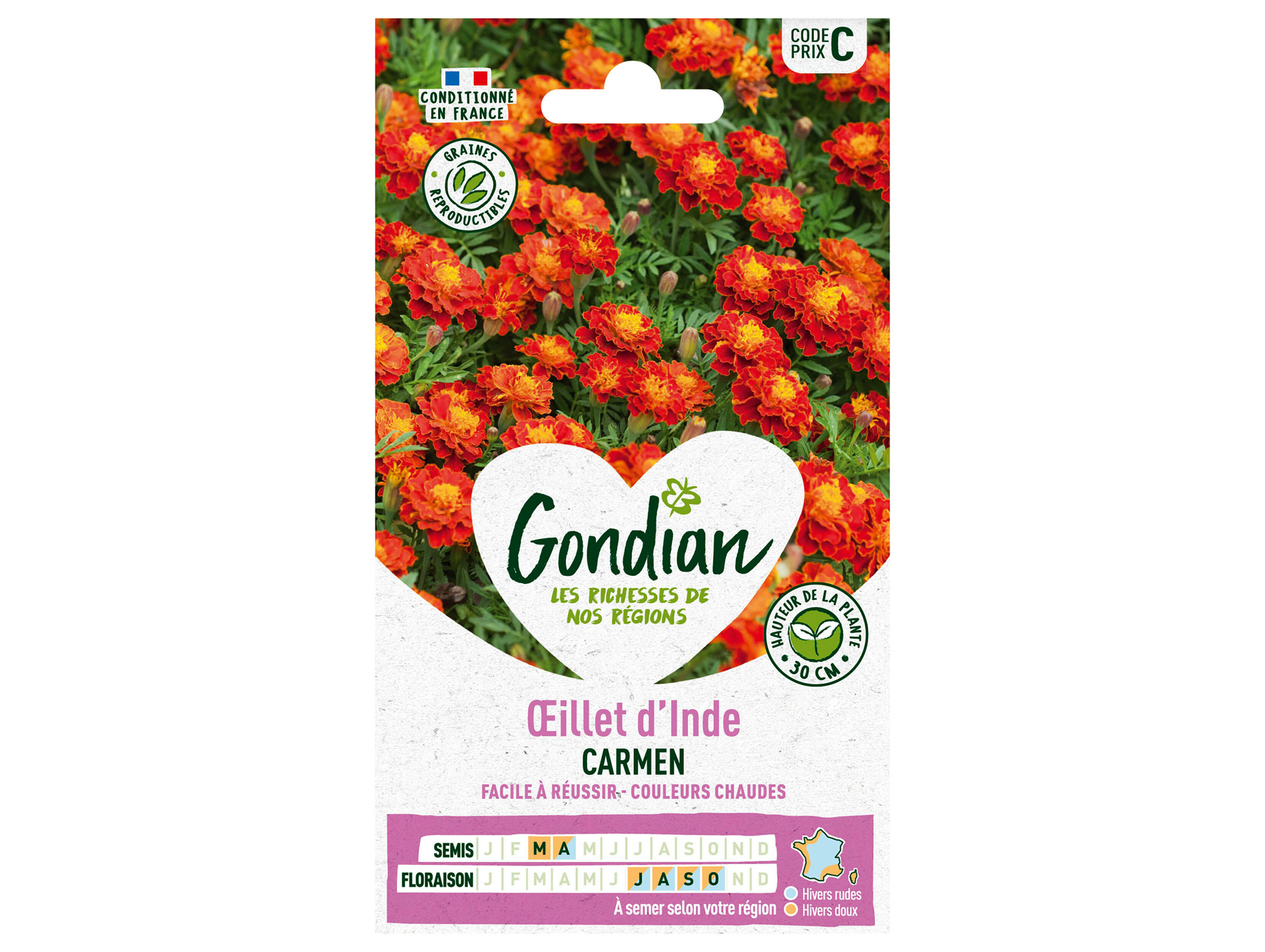 Oeillet d'Inde Carmen GONDIAN Série C