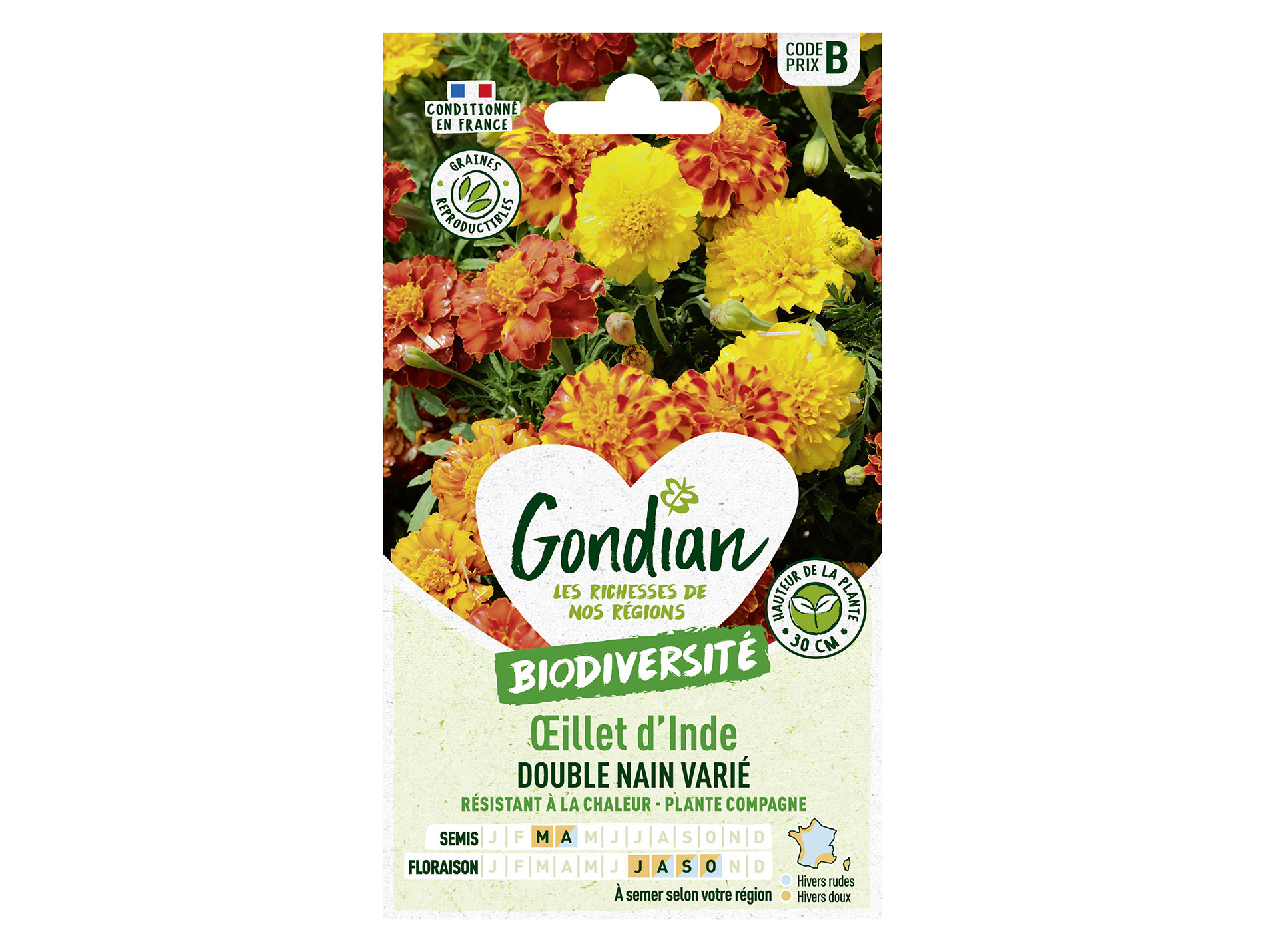 Oeillet d'Inde double nain varié GONDIAN Série B