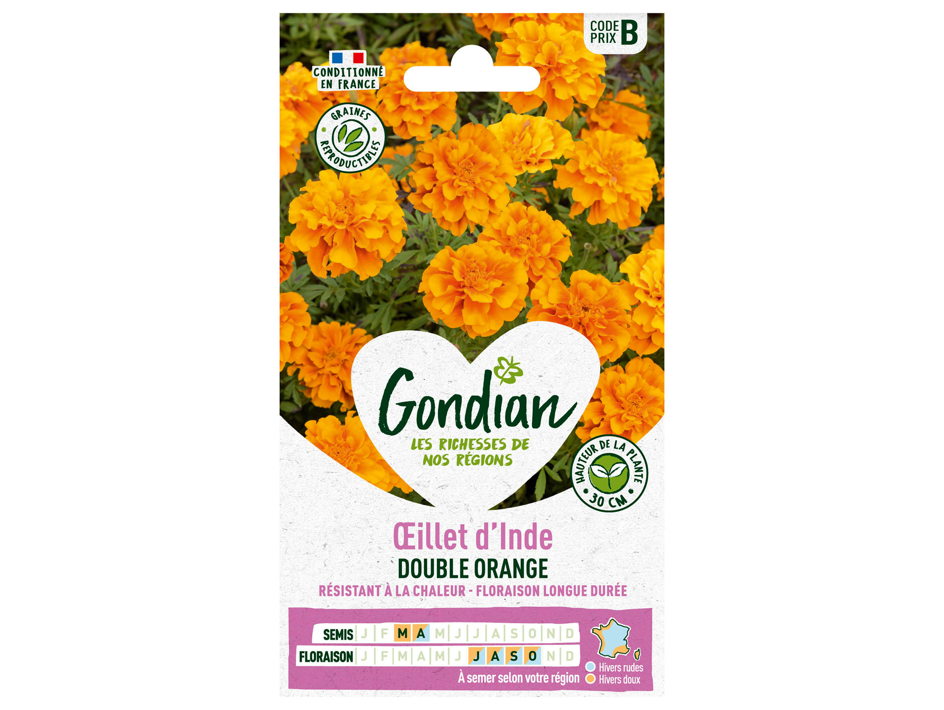 Oeillet d'Inde double orange GONDIAN Série B