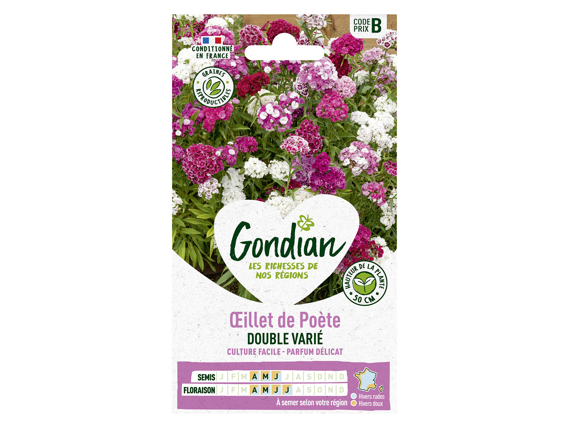 Oeillet de Poète double varié GONDIAN Série B