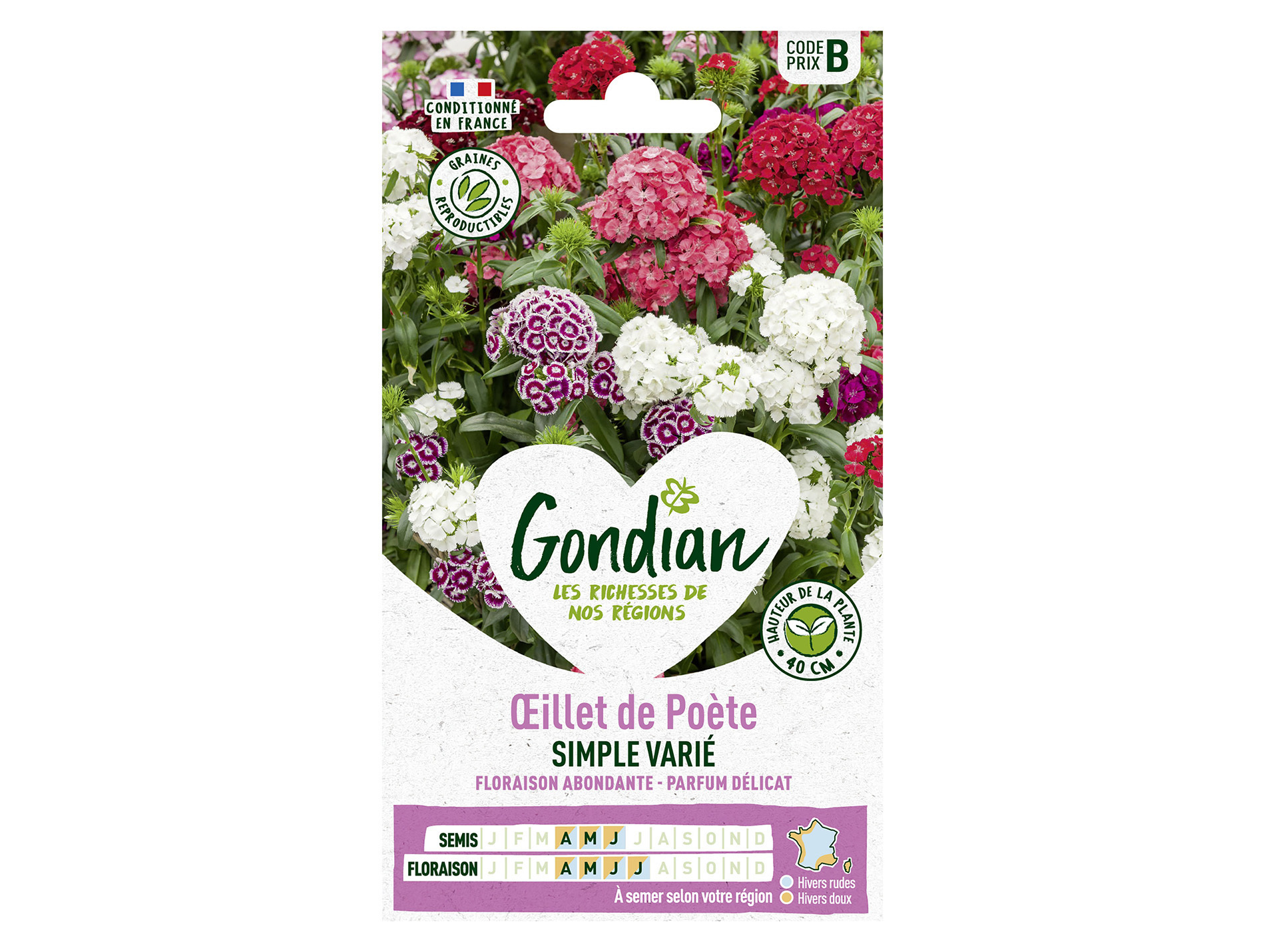 Oeillet de Poète simple varié GONDIAN Série B