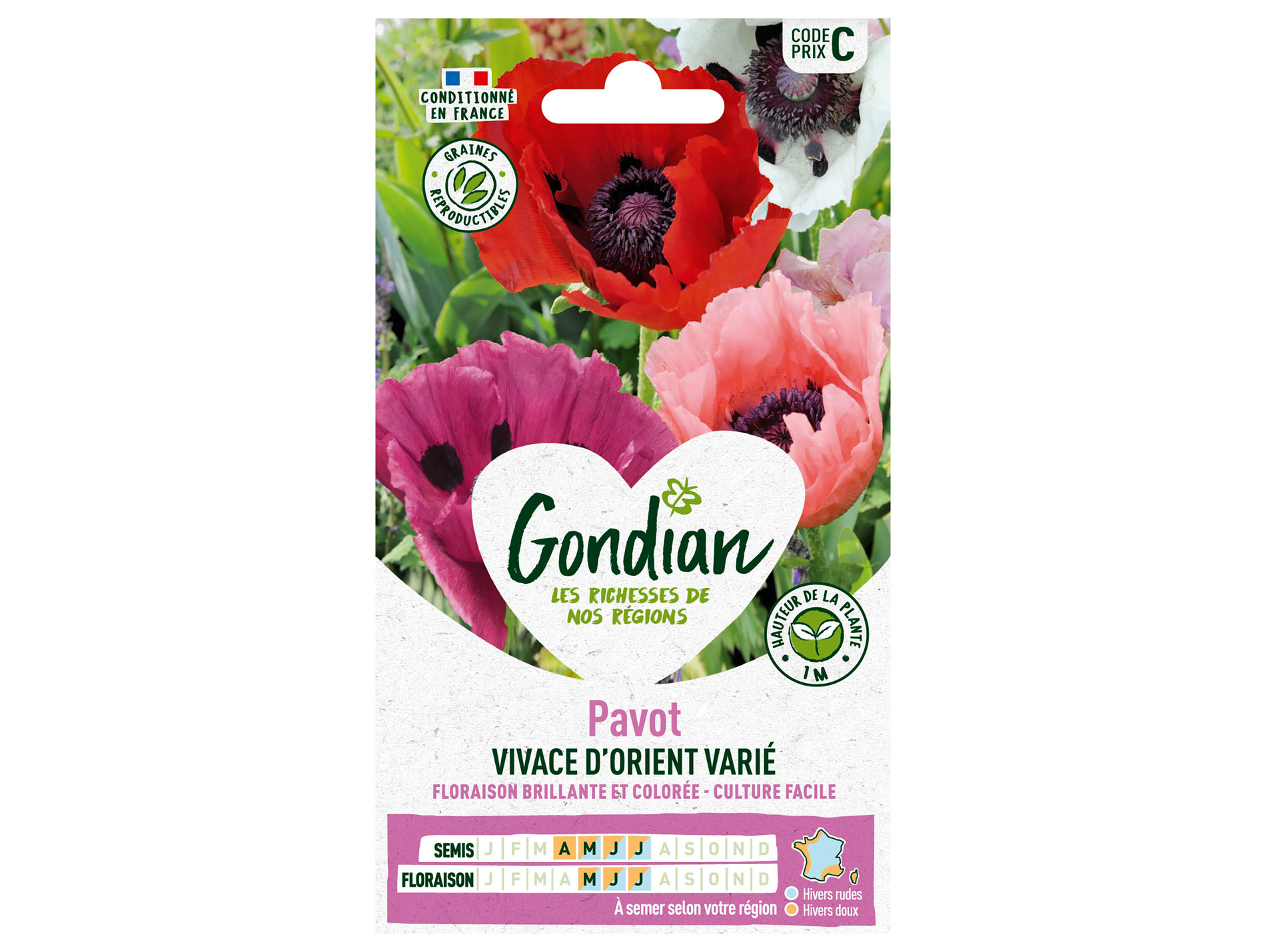Pavot Vivace d'Orient varié GONDIAN Série C