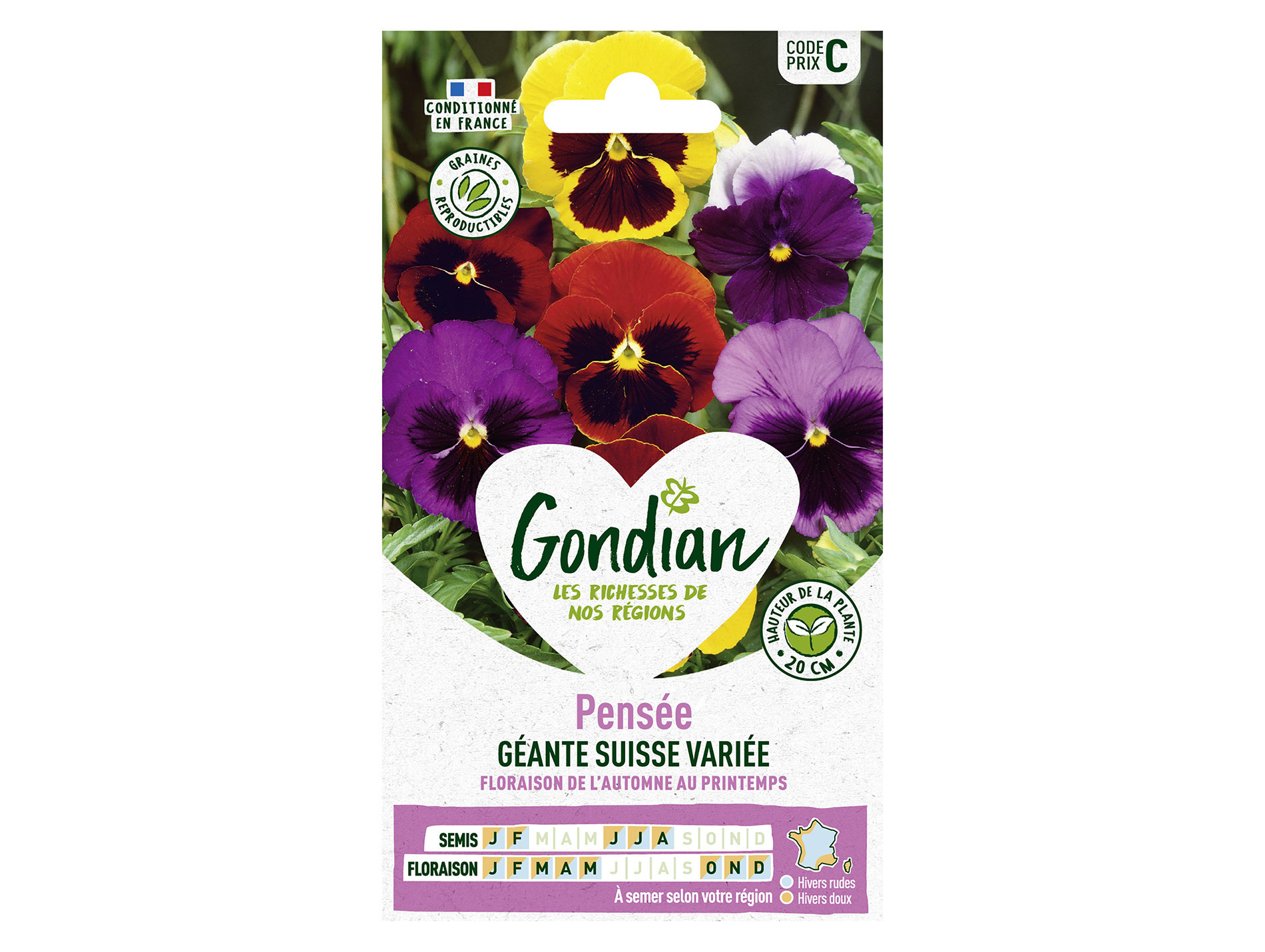 Pensée Géante Suisse GONDIAN Série C