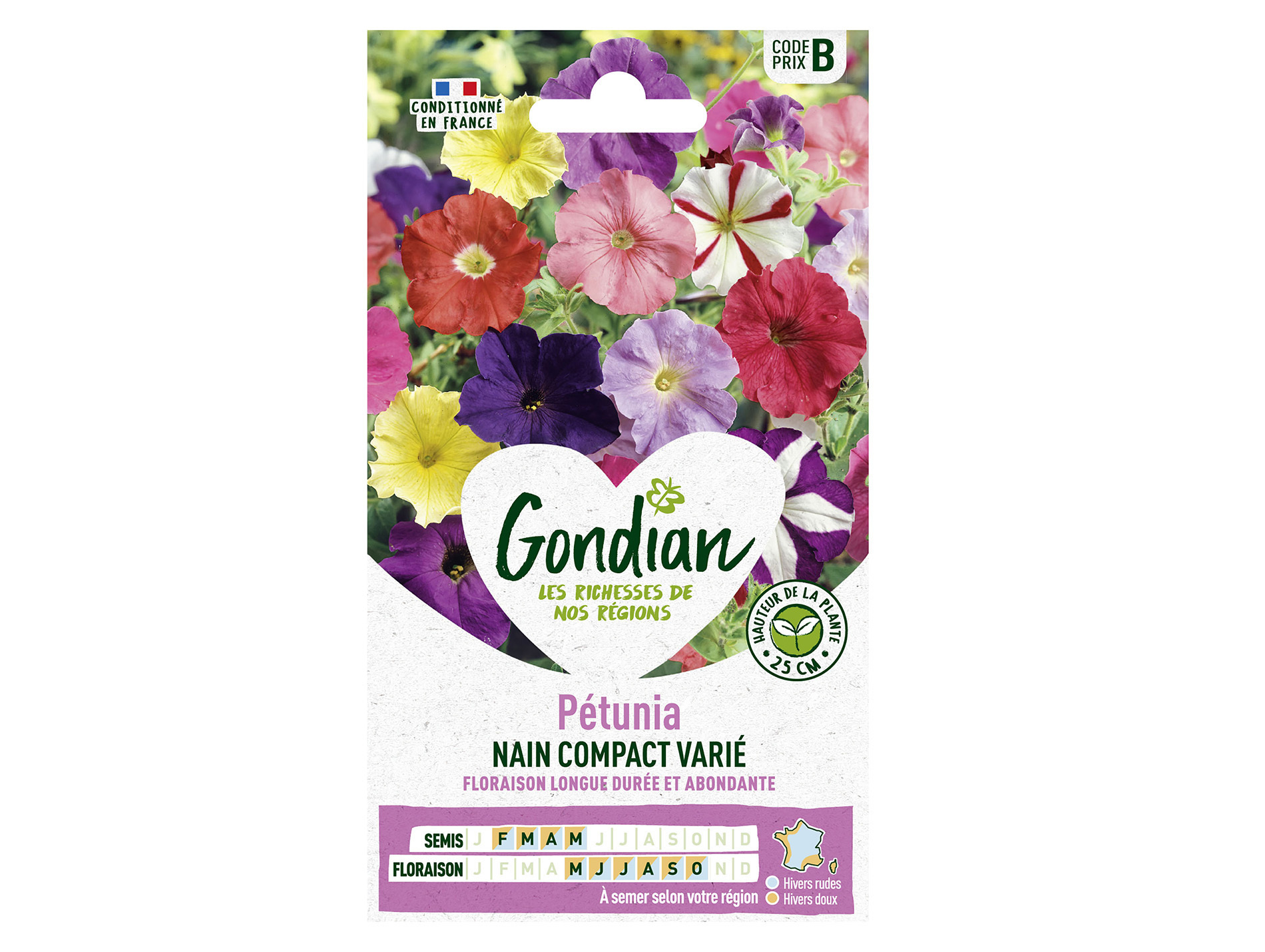Pétunia nain compact varié GONDIAN Série B