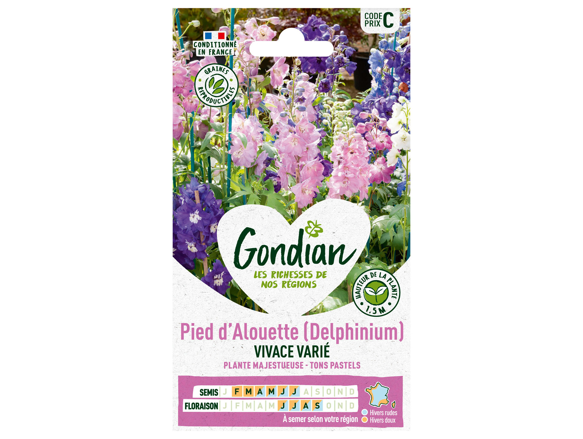 Pied d'alouette Delphinium GONDIAN Série C