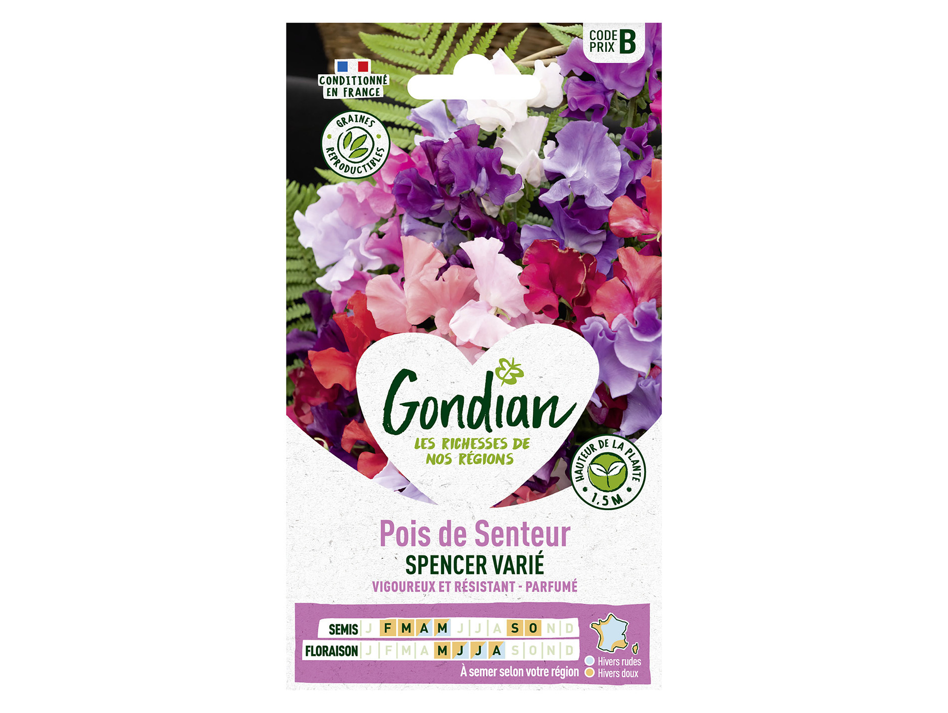 Pois de Senteur Spencer varié GONDIAN Série B