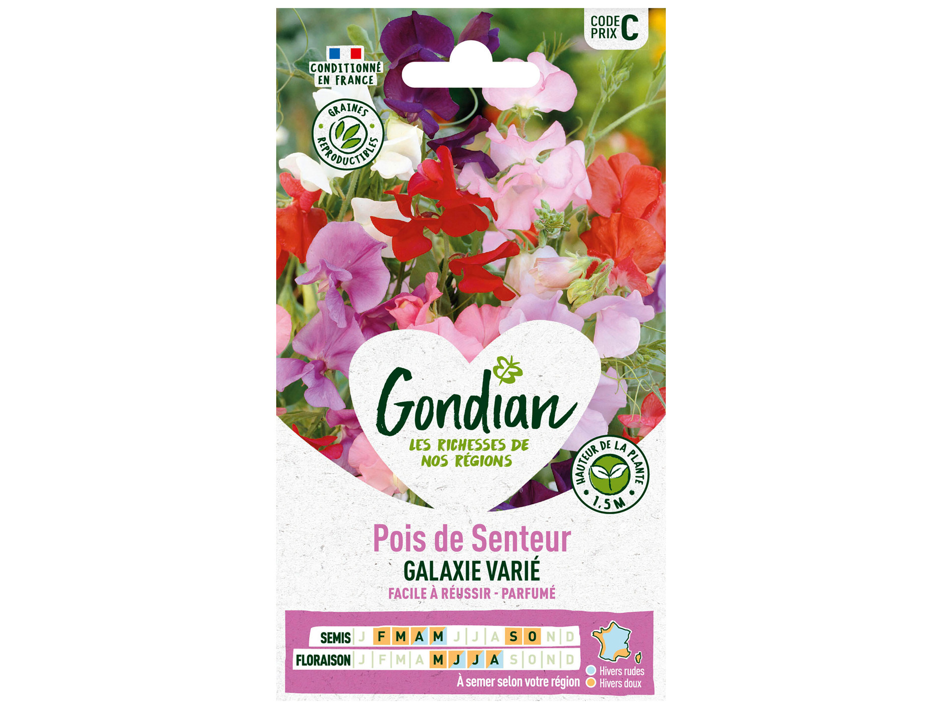 Pois de Senteur Galaxie varié GONDIAN Série B