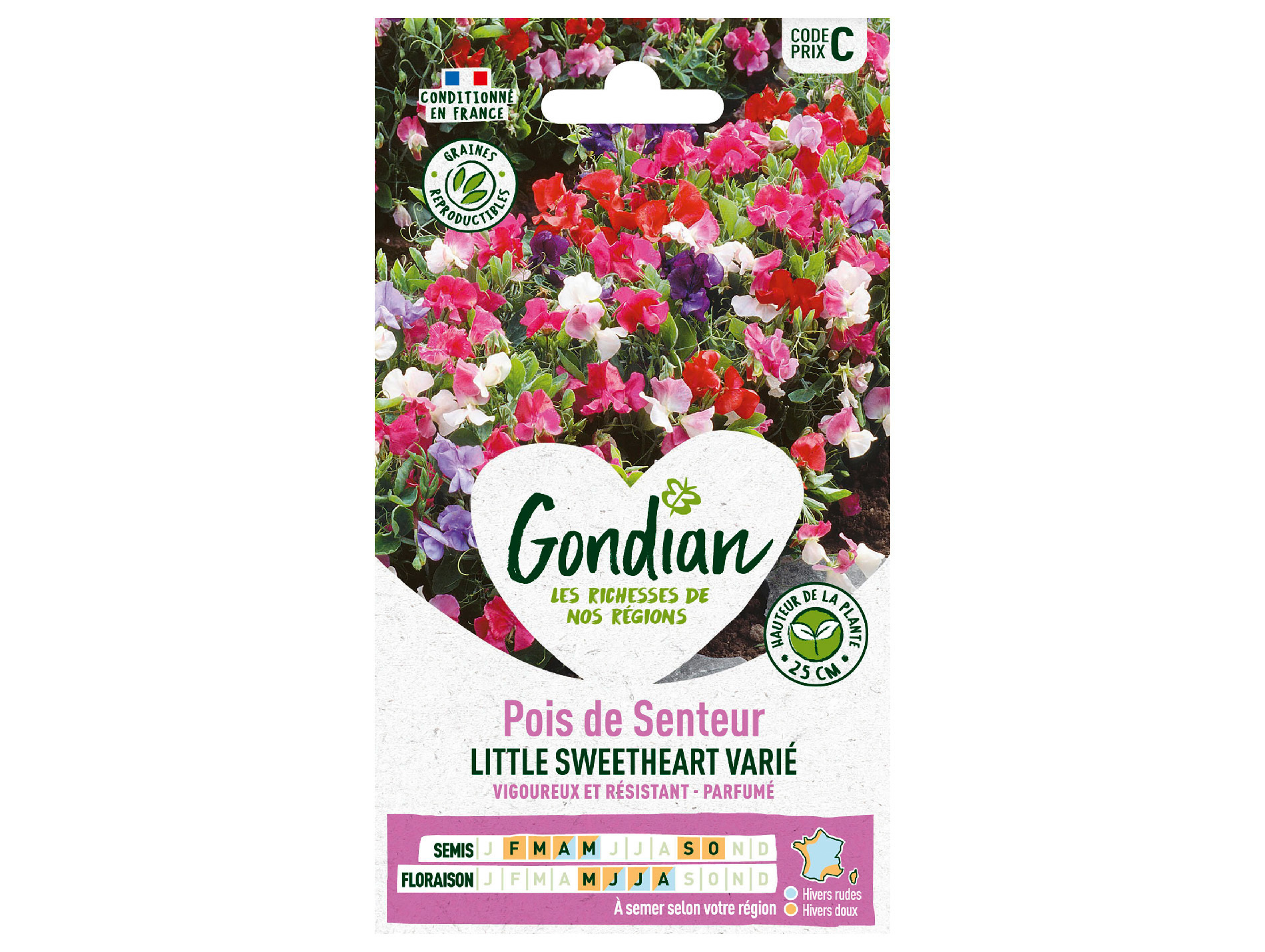 Pois de Senteur Little Sweetheart GONDIAN Série C