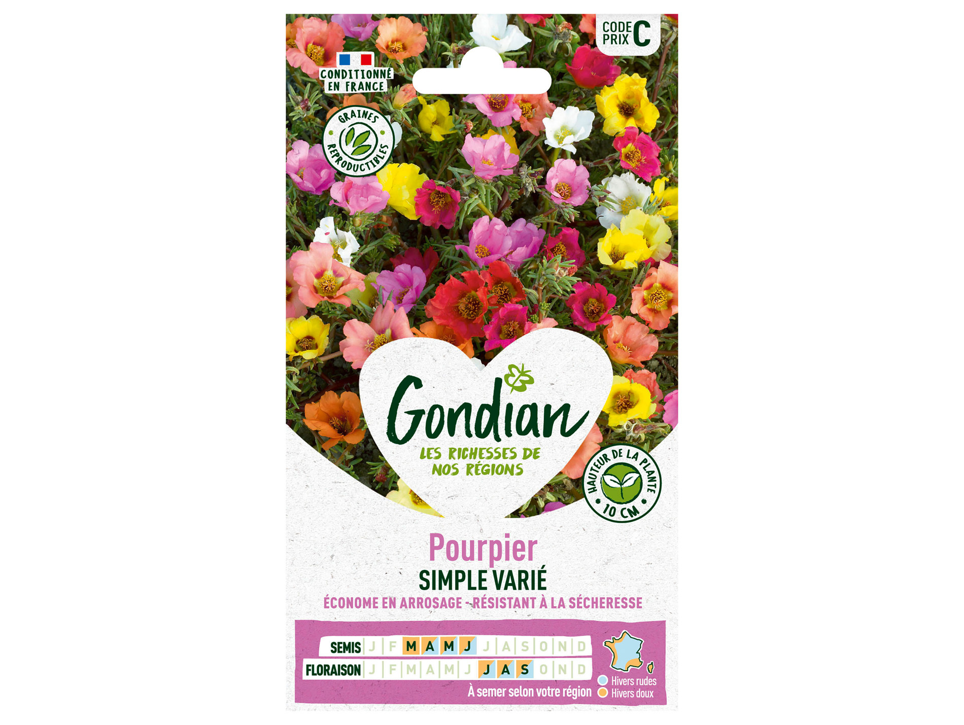 Pourpier simple varié GONDIAN Série C