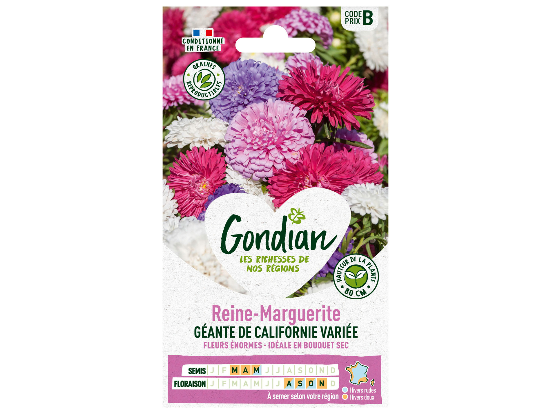 Reine-Marguerite géante de Californie variée GONDIAN Série B
