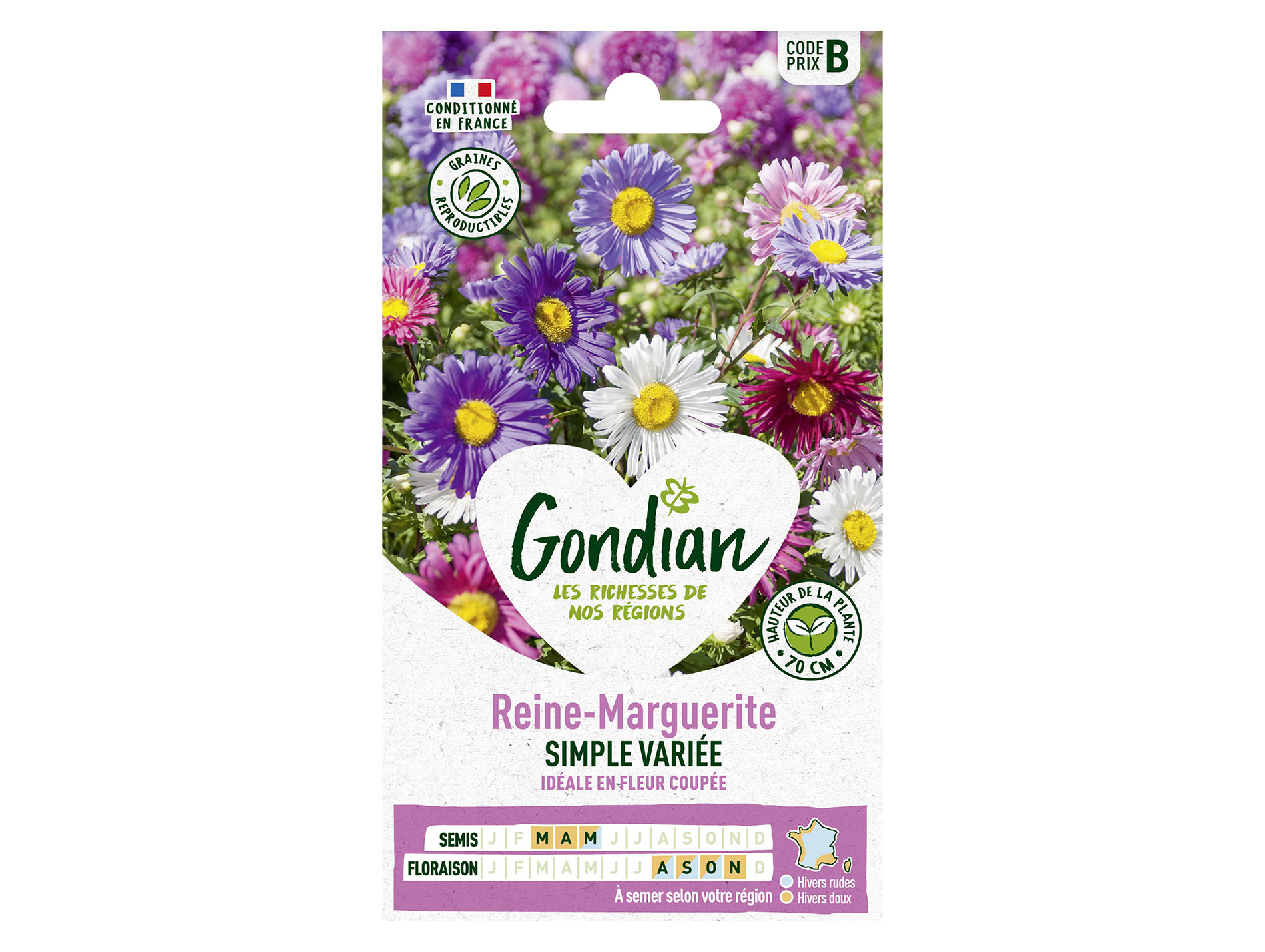 Reine-Marguerite simple variée GONDIAN Série B