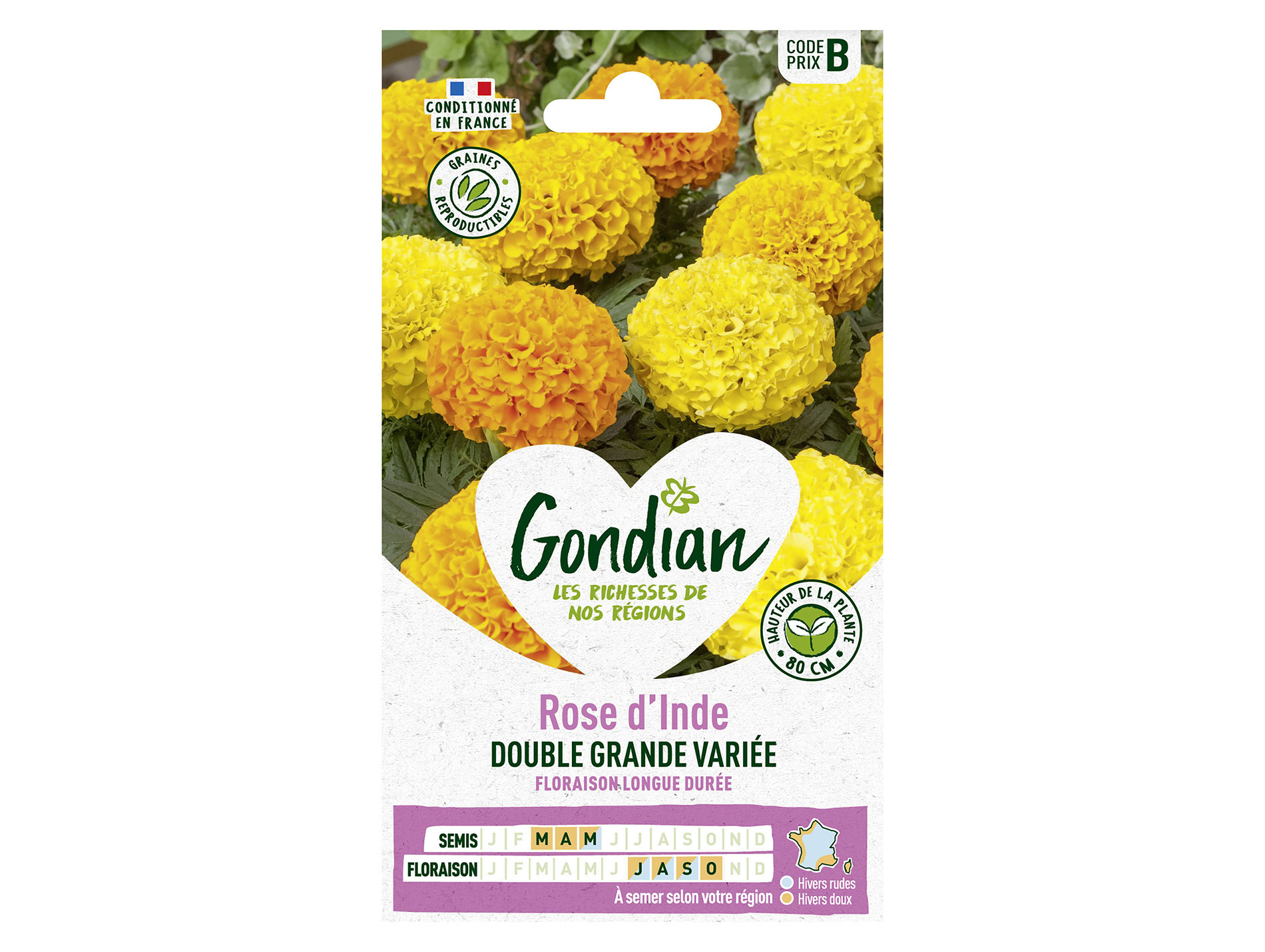 Rose d'Inde double grande variée GONDIAN Série B