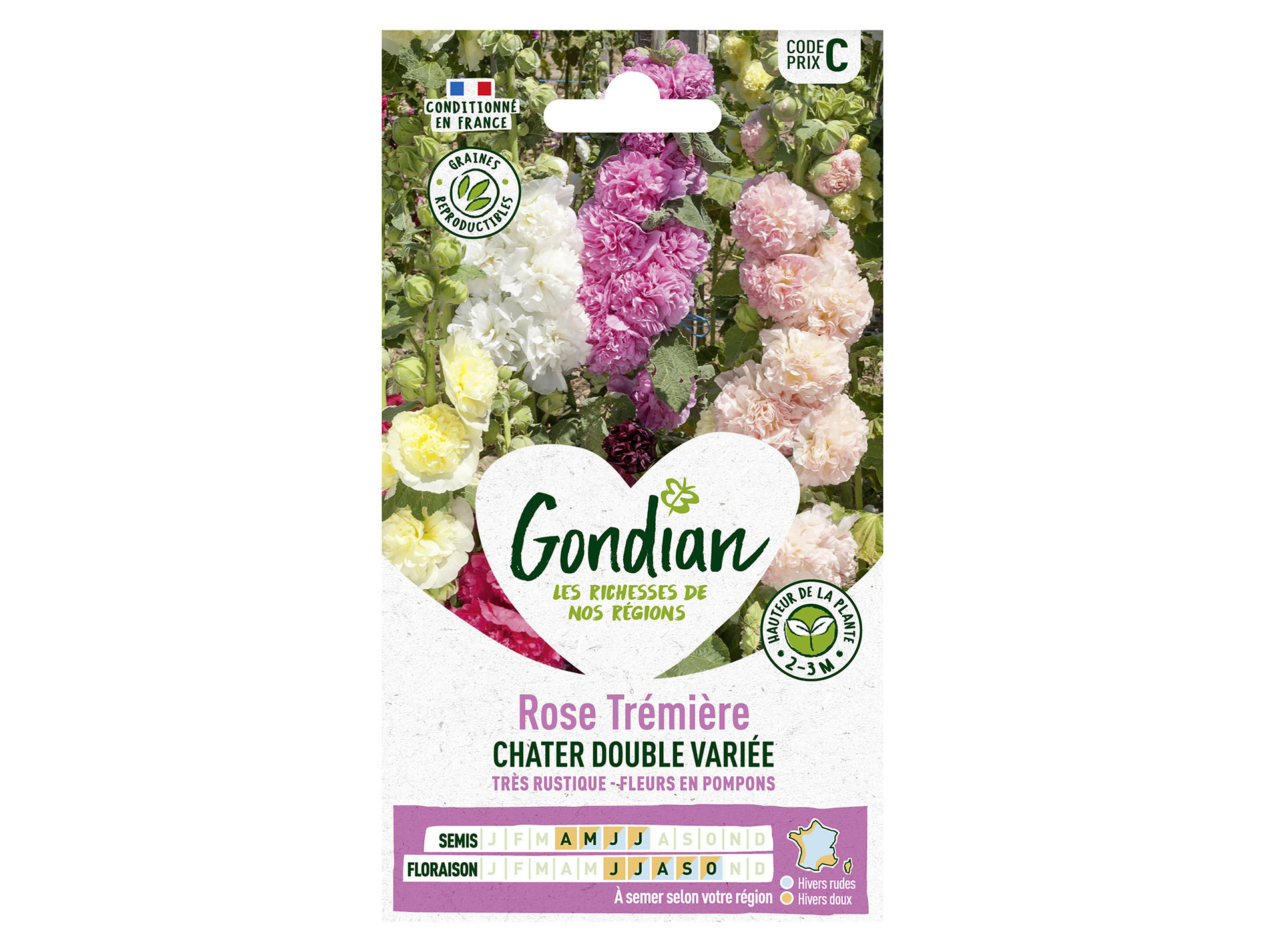 Rose Tremière Chater double variée GONDIAN Série C