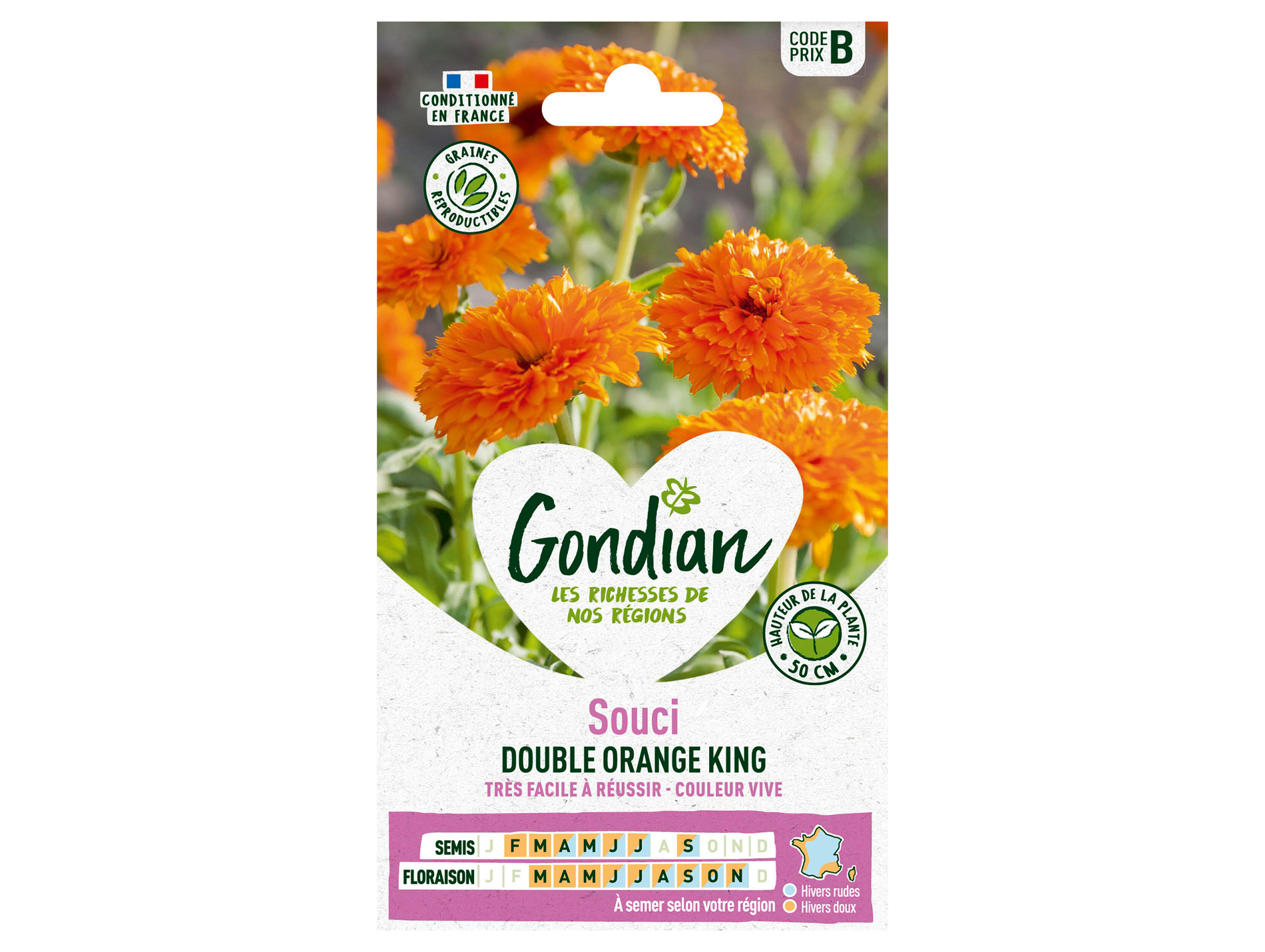 Souci double orange king GONDIAN Série B