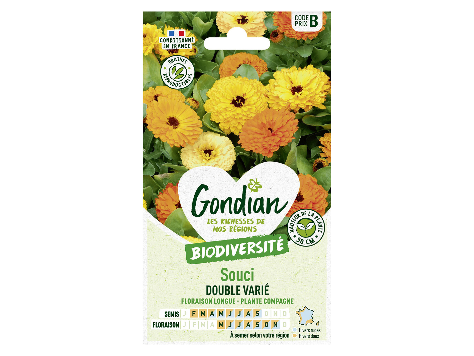 Souci double varié GONDIAN Série B