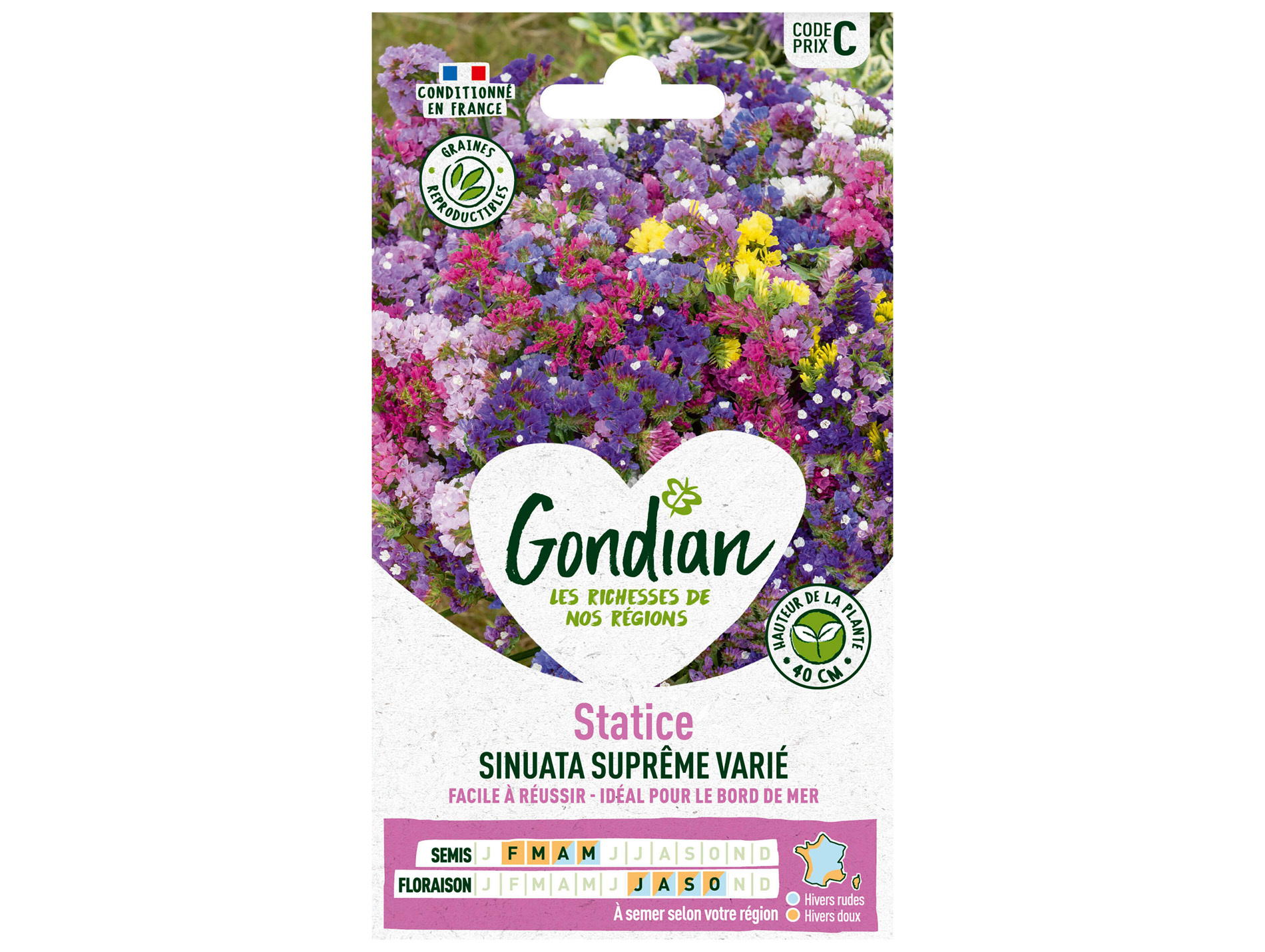Statice Sinuata Suprême varié GONDIAN Série C