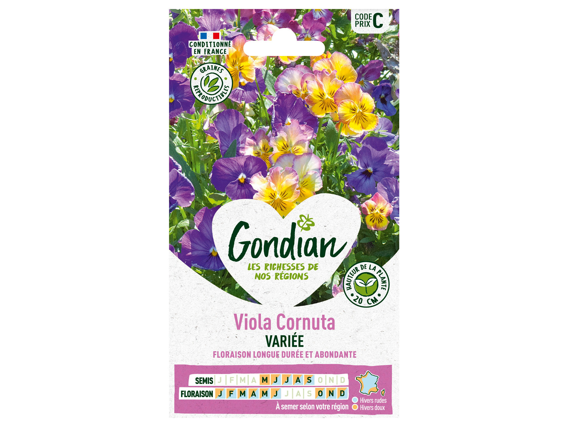 Viola Cornuta variée GONDIAN Série C