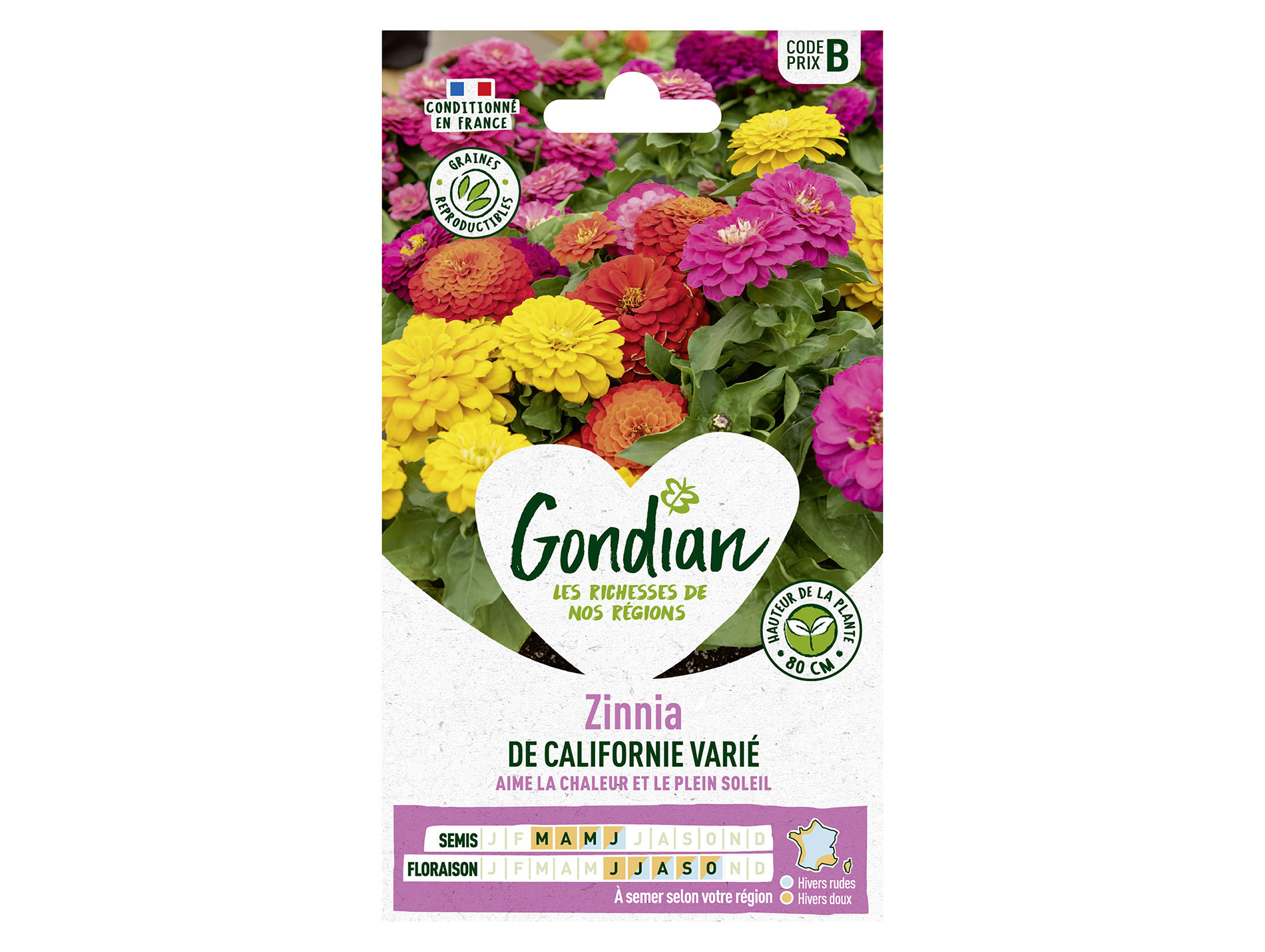 Zinnia de Californie varié GONDIAN Série B