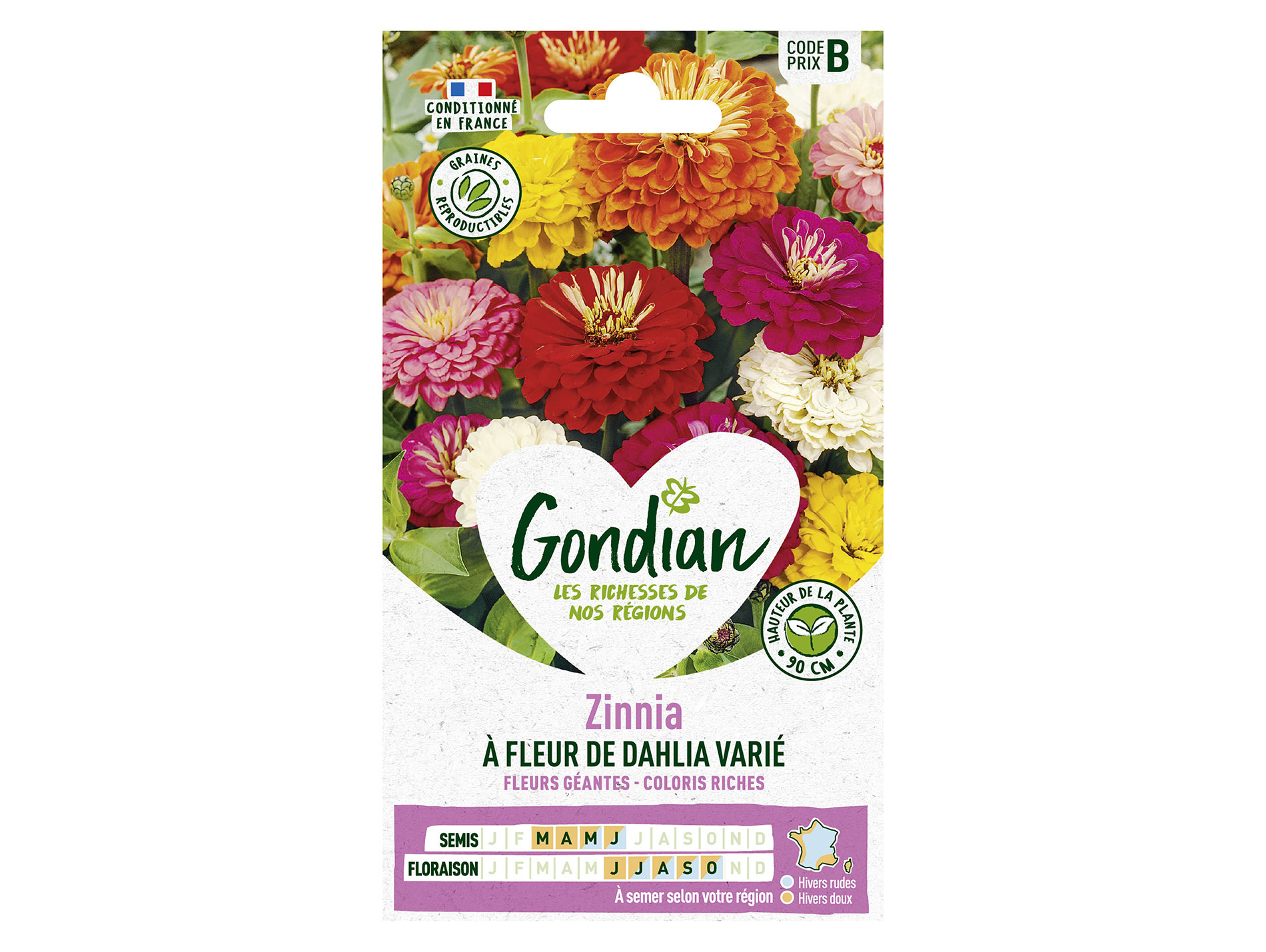 Zinnia à fleur de Dahlia varié GONDIAN Série B