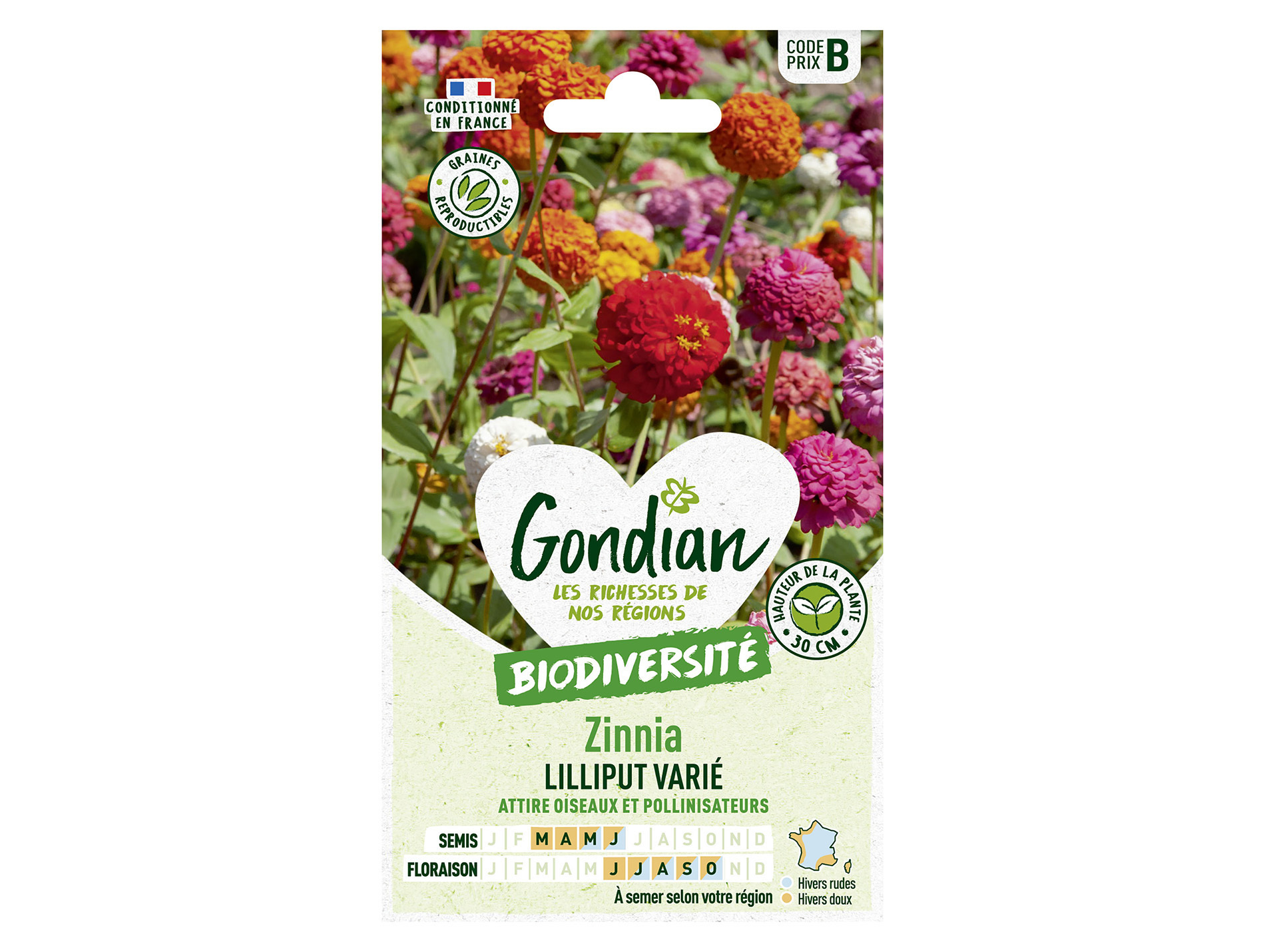 Zinnia Lilliput varié GONDIAN Série B