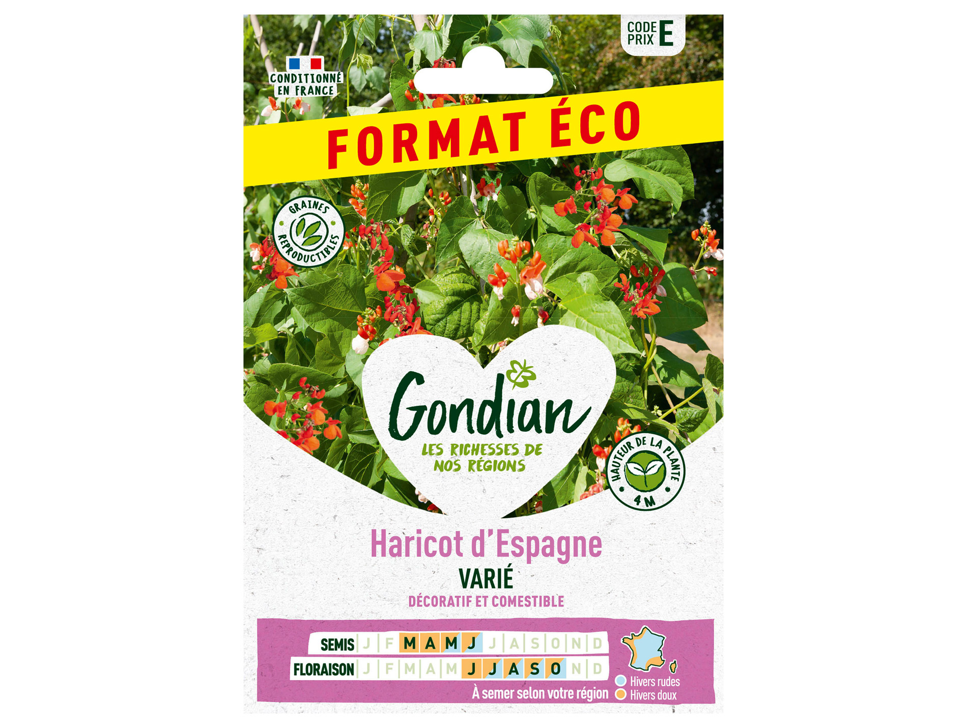 Haricot d'Espagne varié GONDIAN Série E éco