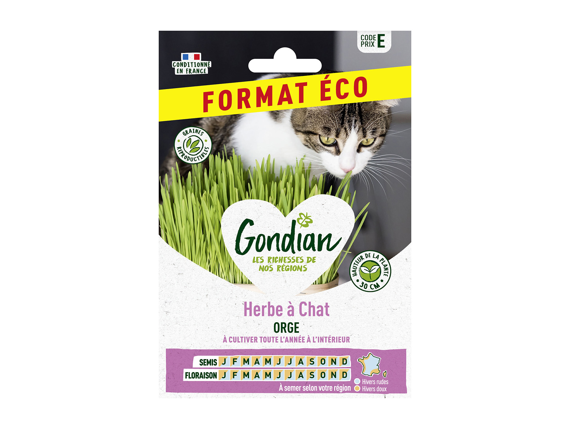 Herbe à chat Orge GONDIAN Série E éco