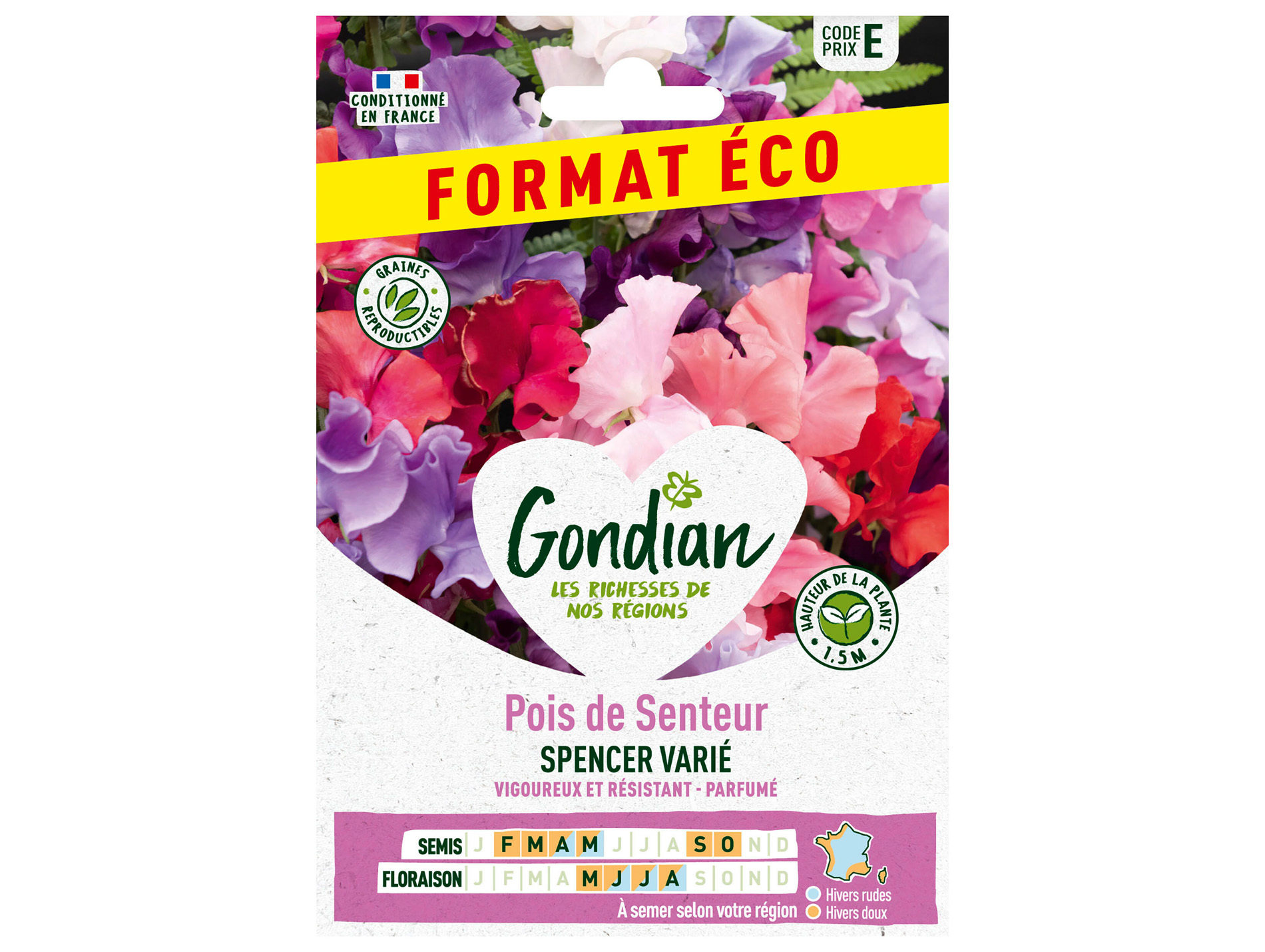 Pois de Senteur Spencer varié GONDIAN Série E éco