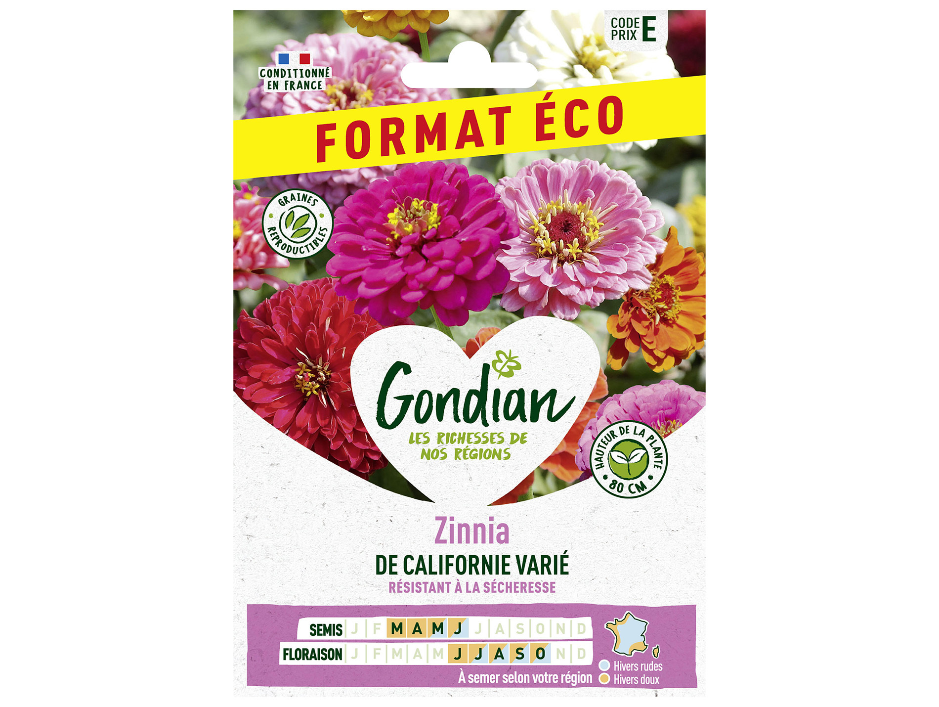 Zinnia Californie éco GONDIAN Série E
