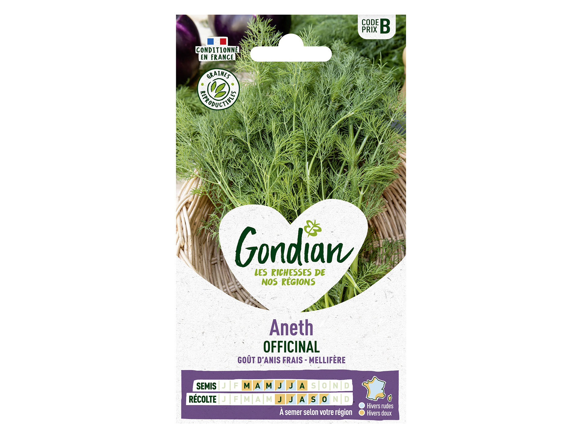 Aneth officinal GONDIAN Série B