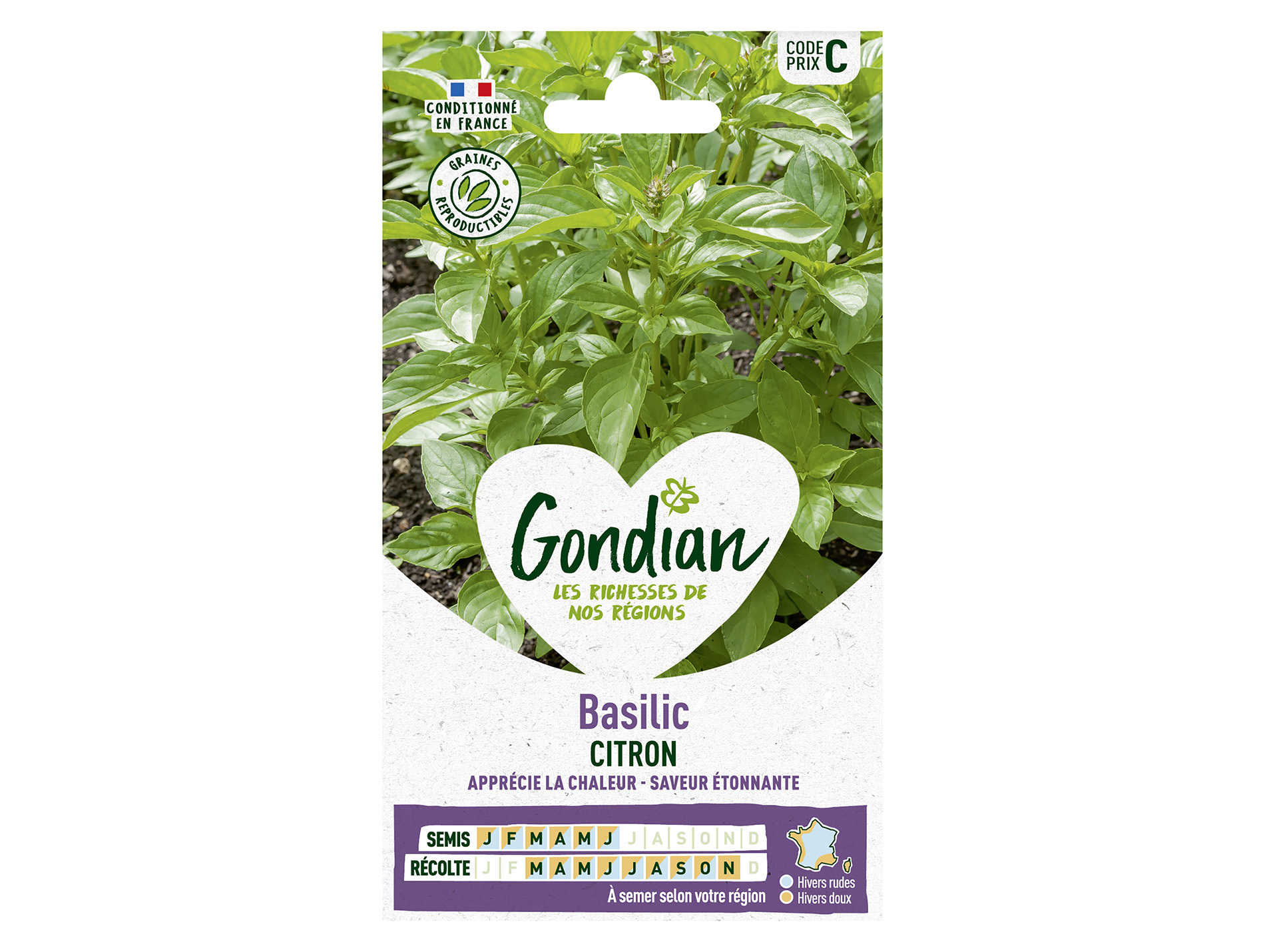 Basilic citron GONDIAN Série C