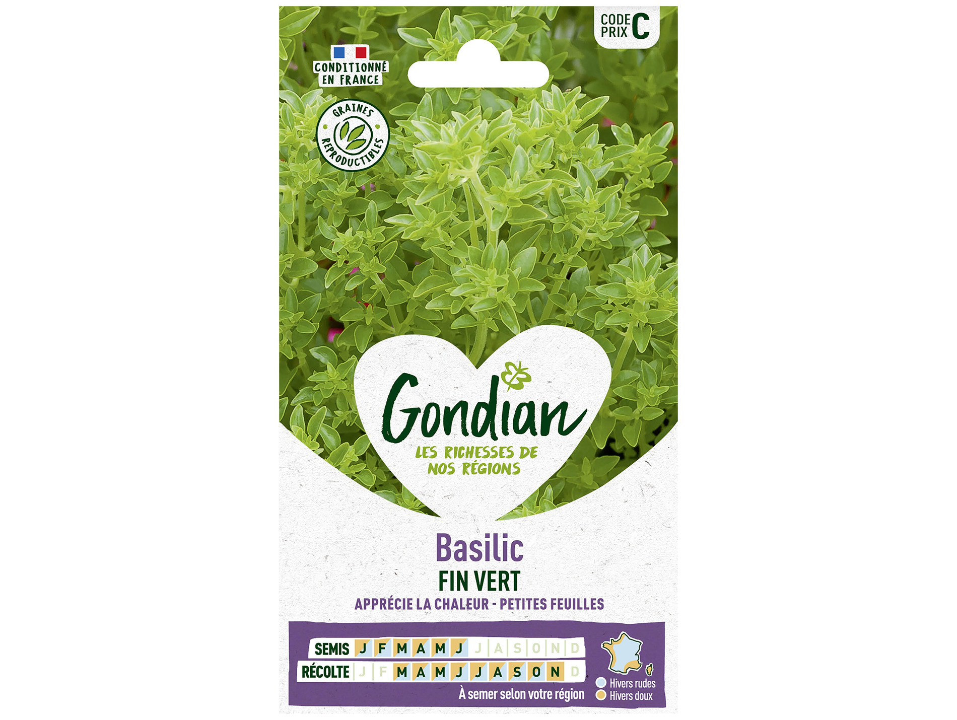 Basilic fin vert GONDIAN Série C