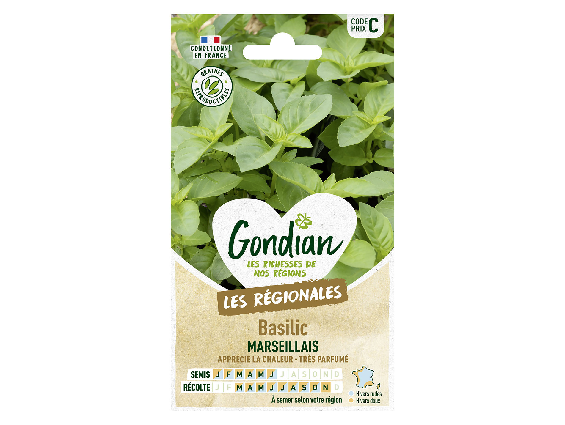 Basilic marseillais GONDIAN Série C