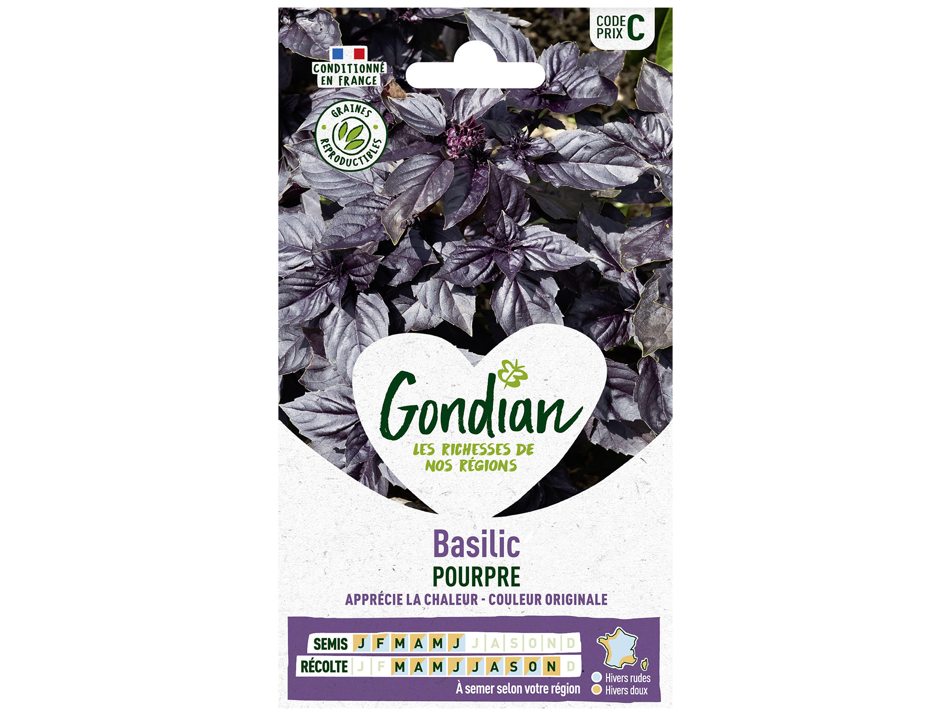 Basilic pourpre GONDIAN Série C