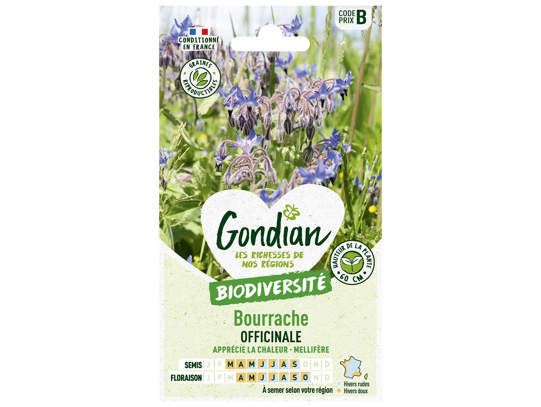 Bourrache officinale GONDIAN Série B